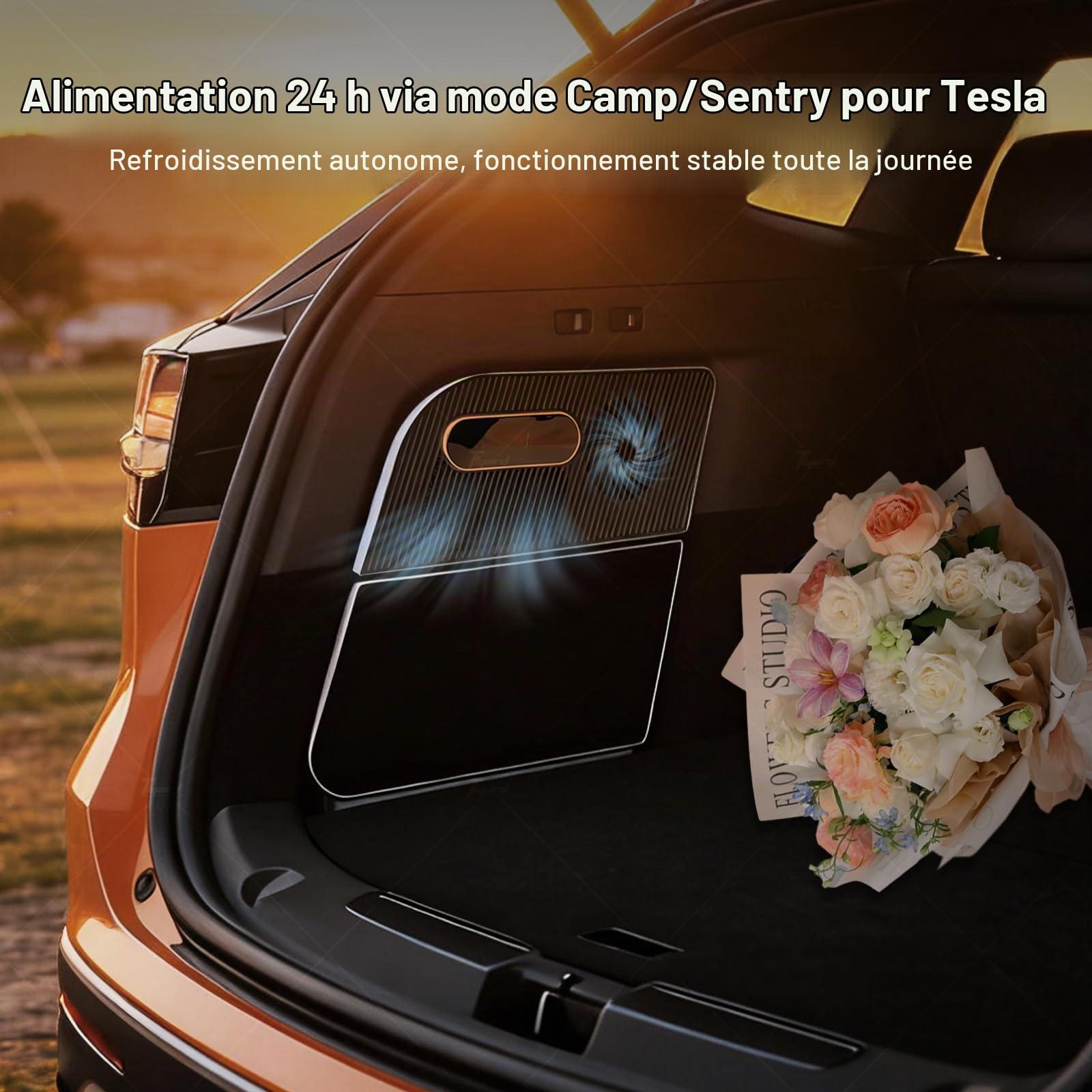 Tlyard Réfrigérateur de voiture Tesla Model Y, refroidissement de -5,6 °C, refroidissement AI 3 modes, consommation d'énergie ultra faible de 0,5 kWh, facile à installer, parfait pour refroidisseur