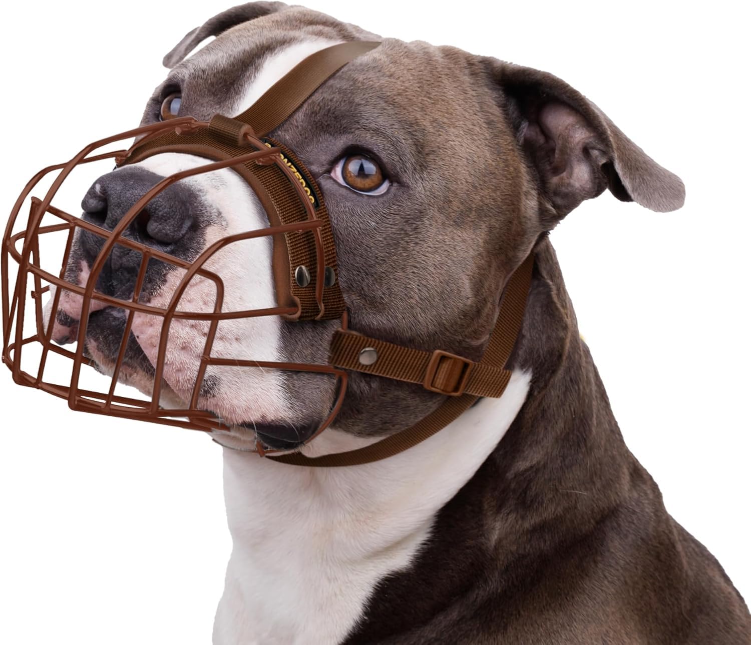 BRONZEDOG Pitbull Metal Dog Muzzle Breathable for Large Dogs Amstaff  Staffordshire Terrier Biting Barking Chew (Nylon, Brown)