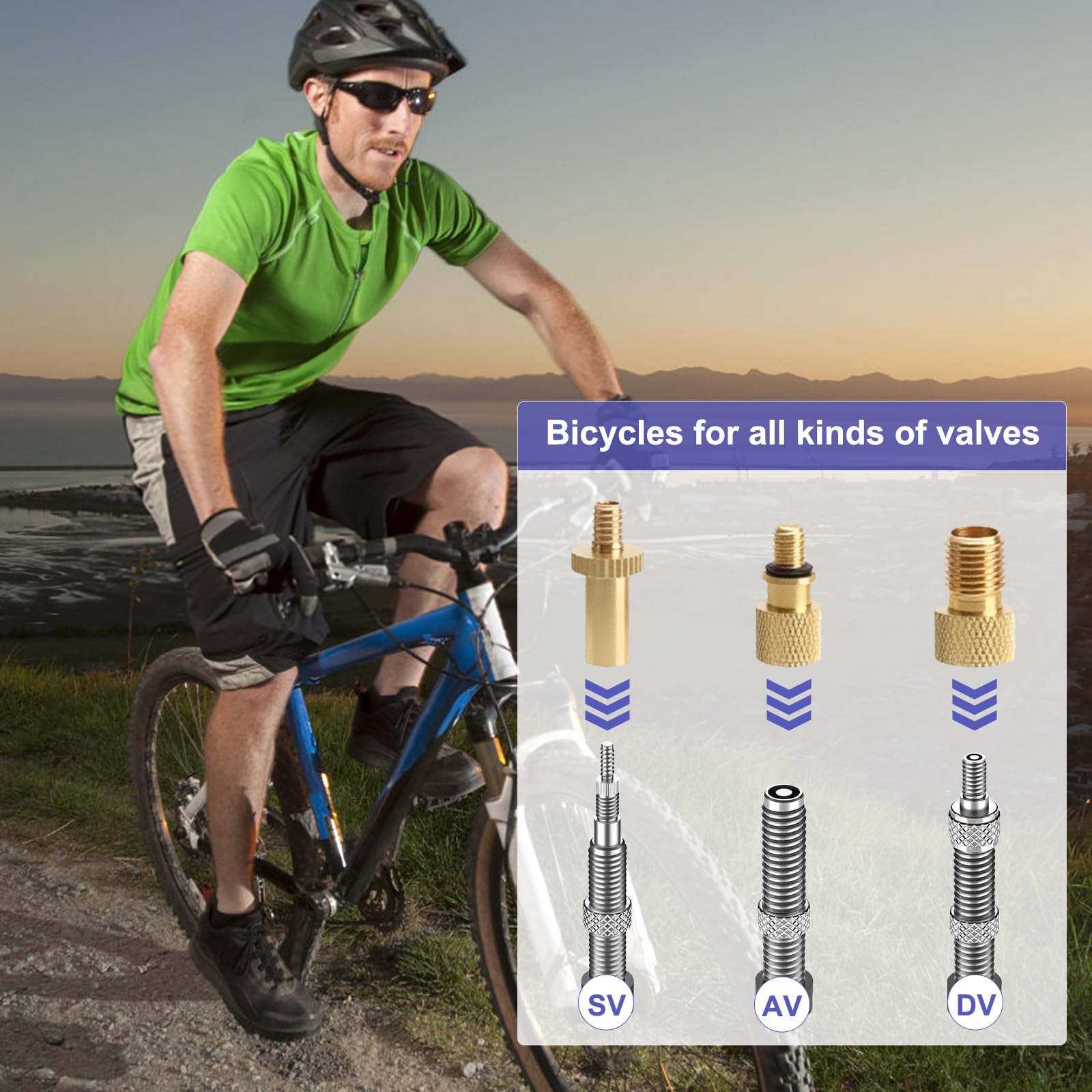 Set di 21 adattatori per valvole per bicicletta, con scatola di smistamento, adattatore per valvola francese, adattatore per valvola per bicicletta, adattatore per valvola auto, adatto per