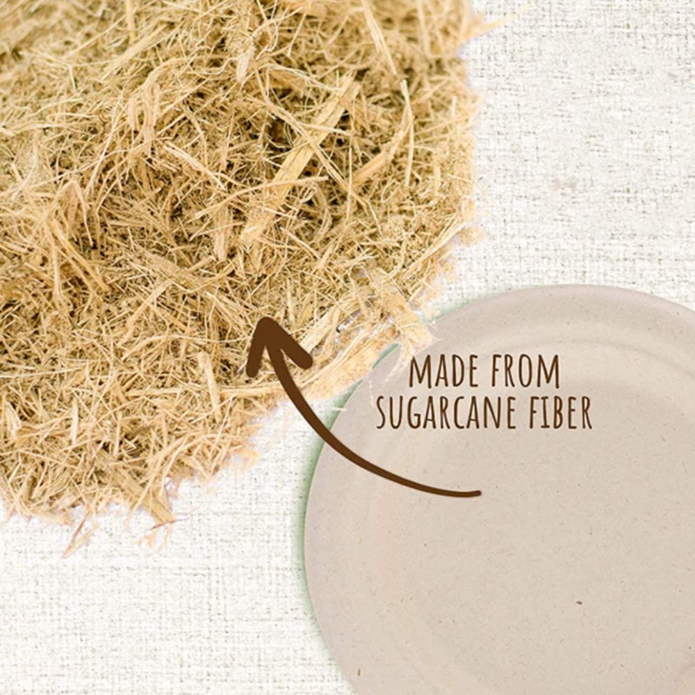 100 platos de papel súper rígidos, 100% biodegradables y compostables, respetuoso con el medio ambiente, resistente y reciclable, perfecto para barbacoas de picnic (10 pulgadas)