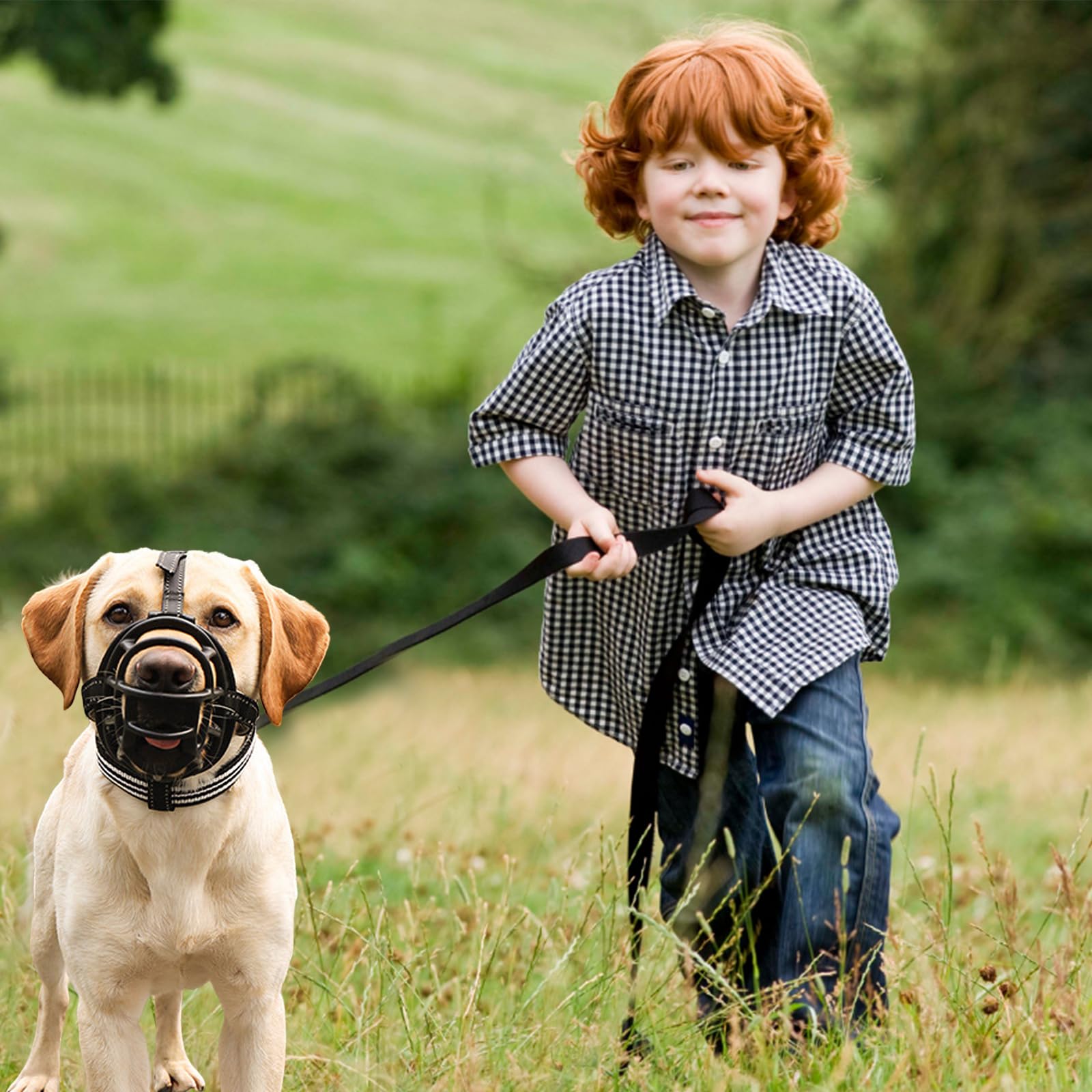 PETCUTE Bozal para Perro Bozal Perro PequeñO Medianos Grandes Anti Ingestas Previene Mordidas para Que No Coma Correa Tirones Ajustable
