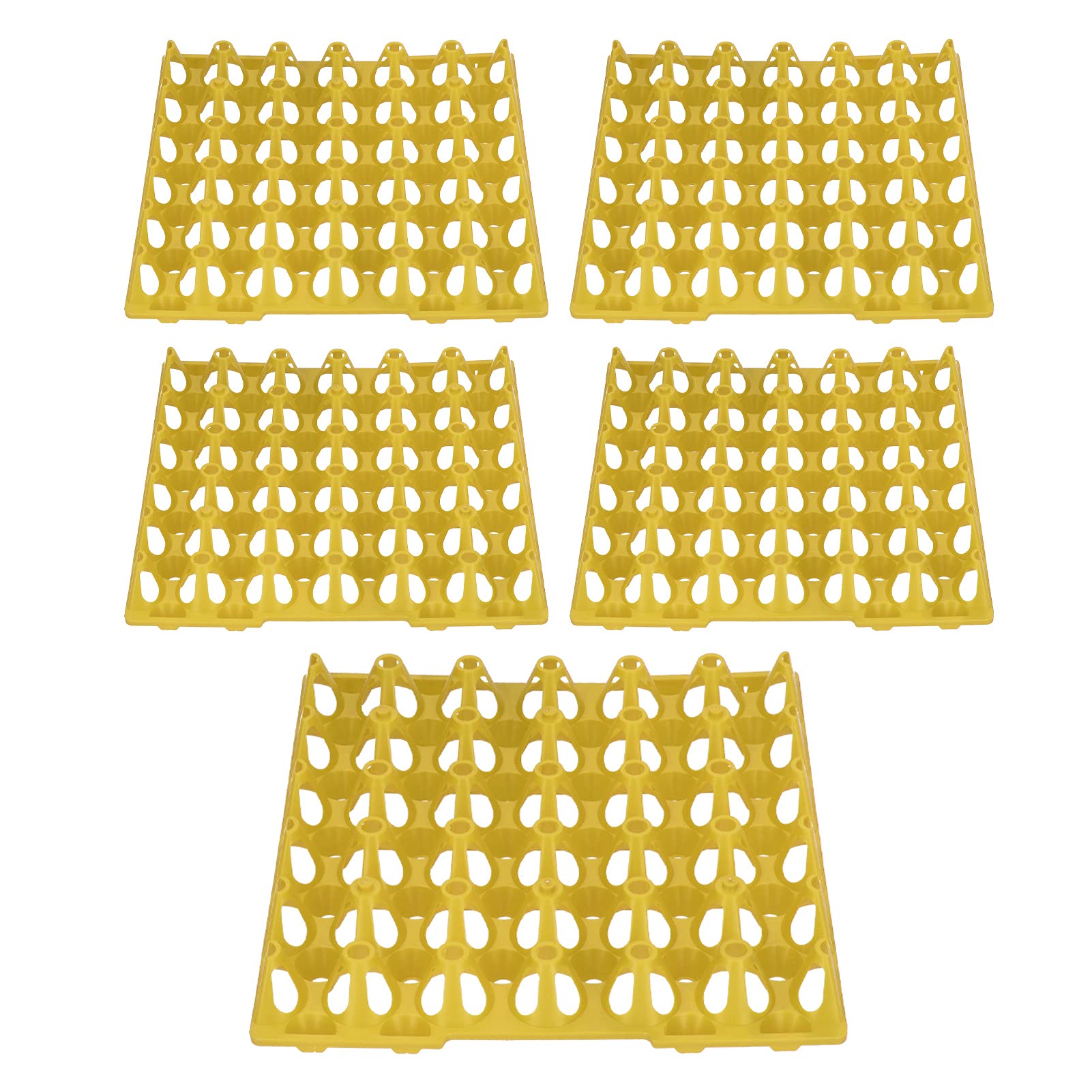 Bewinner Lot de 5 Plateaux à œufs en Plastique à 30 Cellules pour le Stockage et le Transport, Support à œufs Empilable et Réutilisable pour de Poule, Récipient à Extra Large pour Fournitures de