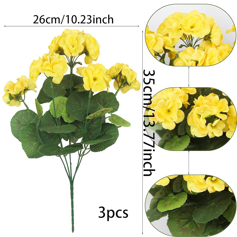 センラ 花や、花 直前!】SPバラ スプラッシュセンセーション(ピンクカップ咲き