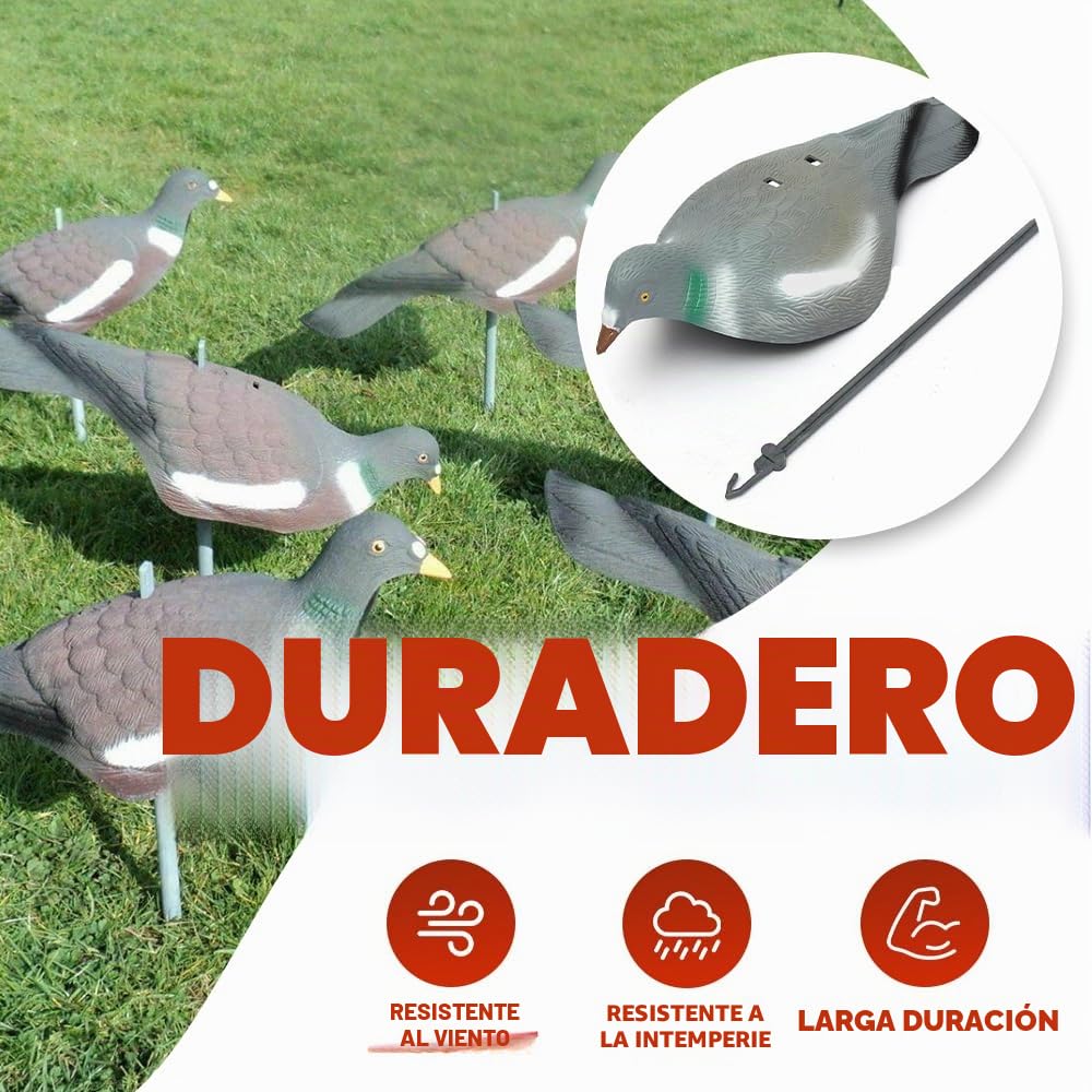 HHH Caza 6X Media Concha Flocado Paloma Cebo Bird Caza señuelos con Clavijas Bird Llamando Accesorios para Caza Y Tiro