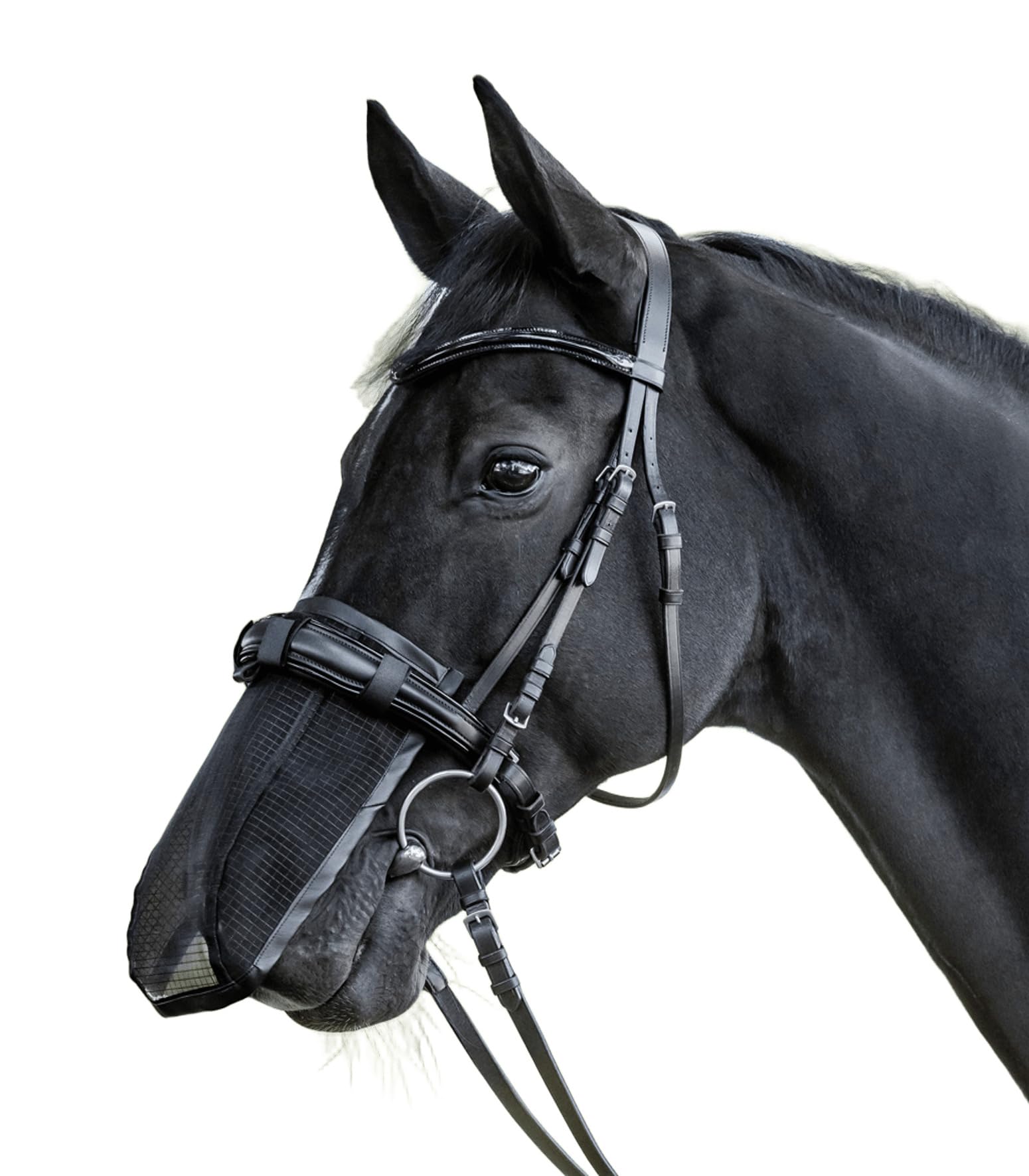 Waldhausen flying nose-guard - Black, Warmblood — image 1