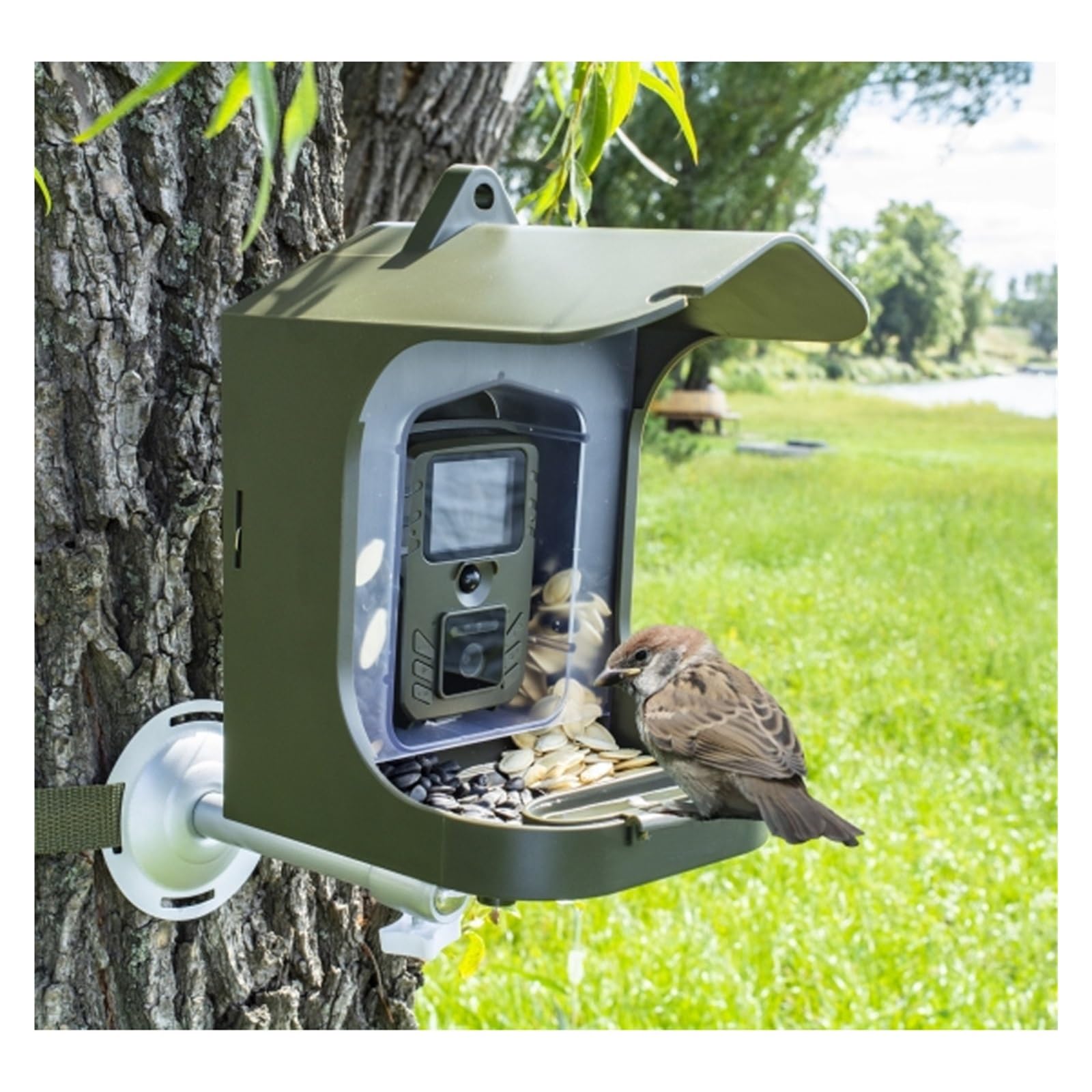 Sorveglianza della macchina fotografica di birdwatching per i piccoli animali con l'alta risoluzione all'aperto dell'alimentatore del sensore di moto