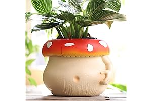 GUGUGO Cute Belly Mushroom Planter - Uniquely Rainbowful Small Body Succulent Pots...