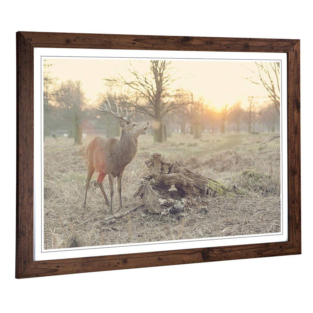 Big Box Art Framed Print of Stag Forest Landscape Design | Wall Art Picture | Home Decor for Kitchen, Living, Dining Room, Lounge, Bedroom, Hallway, Office, Walnut, A2 / 24.5x18 Inch / 62x45cm