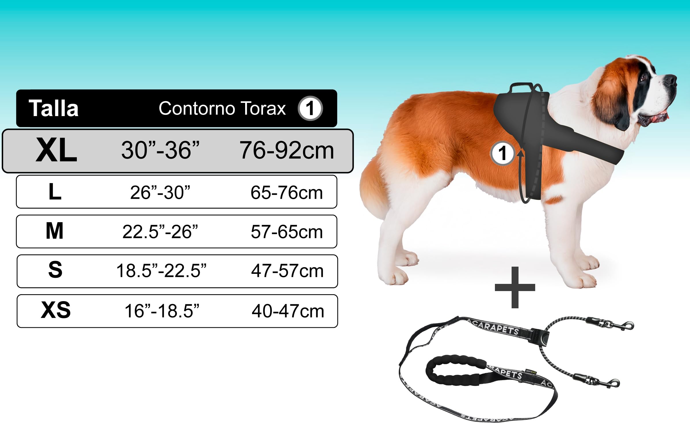 Arnés y Correa para Perro ACARAPETS - Arnés con 3 Anillas, Acolchado y Transpirable con Correa Bífida Elástica, Reflectante, Ajustable, para Caminar y Correr. (Negro, XL con Correa)