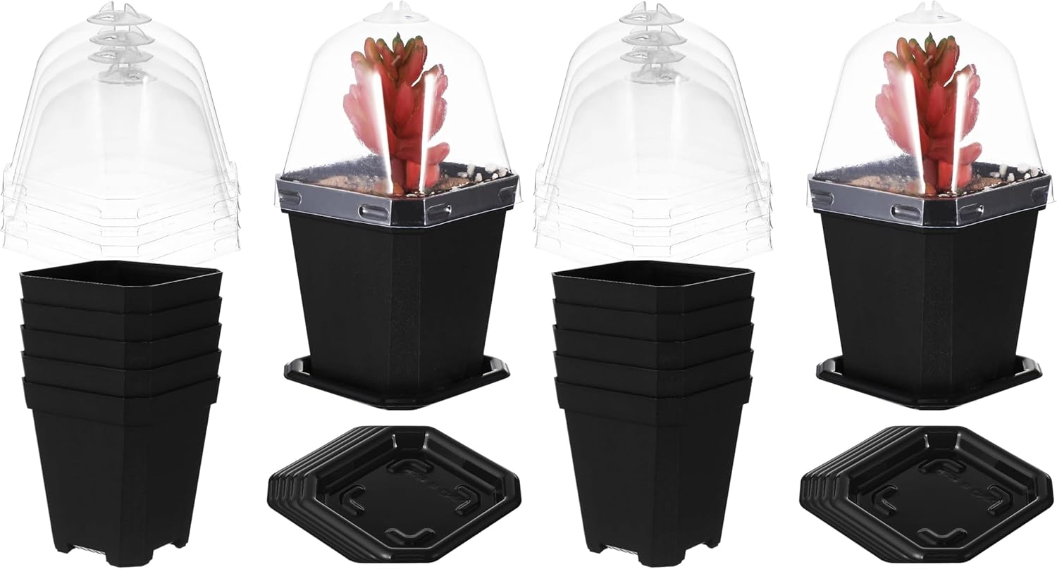 LIOOBO Black Plant Nursery Pots: 5Pcs Seeding Starter Pots, 3 Square Nursery Pot with Humidity Dome, Plastic Plant Container for Garden Vegetable Flower Germination (Pack of 2)