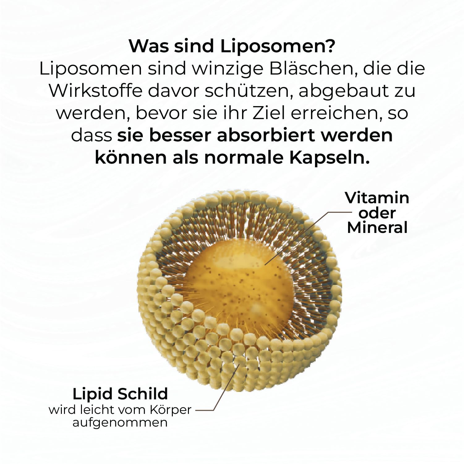 Zink Kapseln Hochdosiert 20 mg - Liposomales Zink mit Hoher Bioverfügbarkeit - Für Haut Haare Nägel & Immunsystem - Vegan - 90 Kapseln 3er-Pack - GMP Qualität