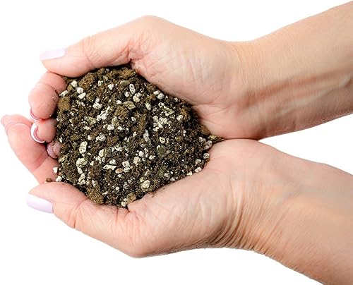 Miniatura 5 de Mezcla de suelo prémium para violetas africanas y gesneriad, perlita hortícola (25%) + vermiculita (25%) + musgo de turba esfagnum (50%), fabricada