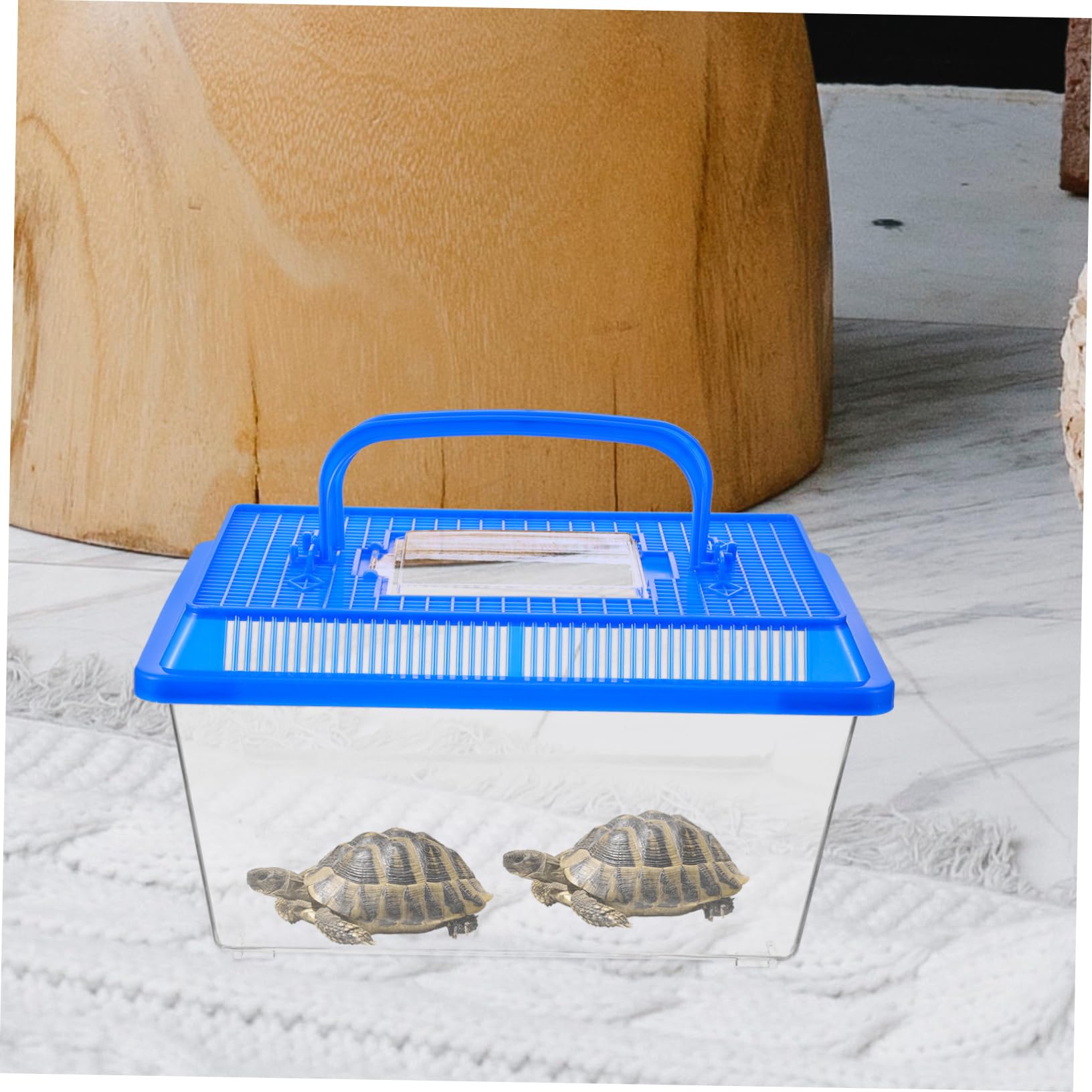 Amazon | PATKAW カメ 餌付け 箱 クリア コンテナ トラベル コンテナ