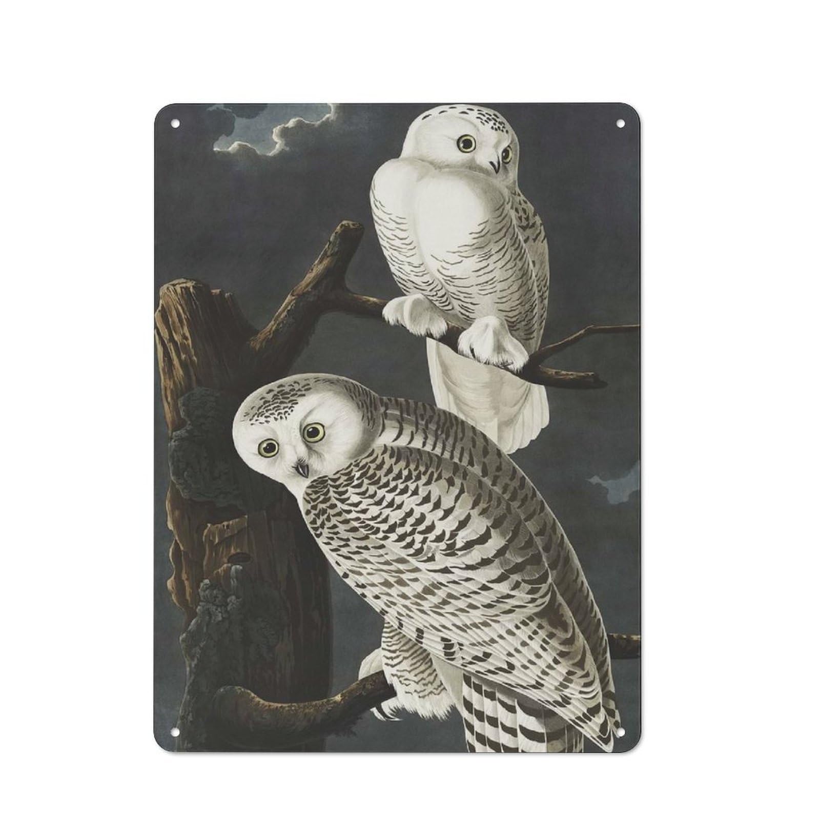 Tin Sign 40x30cm with Snowy Owl for Garage Wall, Retro-style Decor, for Room Styling Across Garages And Workshops