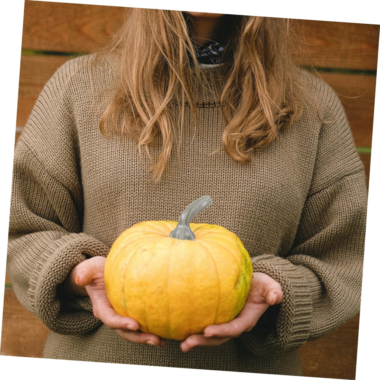 NUOBESTY 7 Set Manico di Zucca in Plastica - Decorazione Lanterna Lampada di Zucca Gambi di Zucca Teste di Zucca Steli di Zucca in Tessuto Ciotola di Zucca Schiacciare Colorful 36 Pezzi * 7