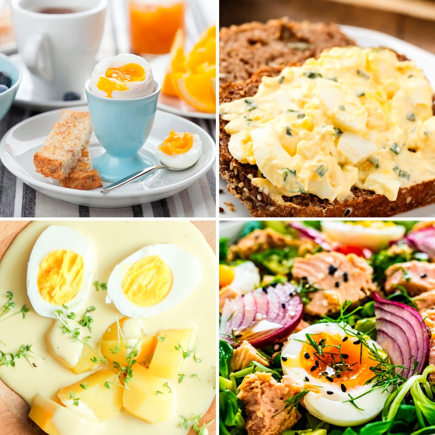 Collage of various egg dishes including soft-boiled, egg salad, and salad with egg