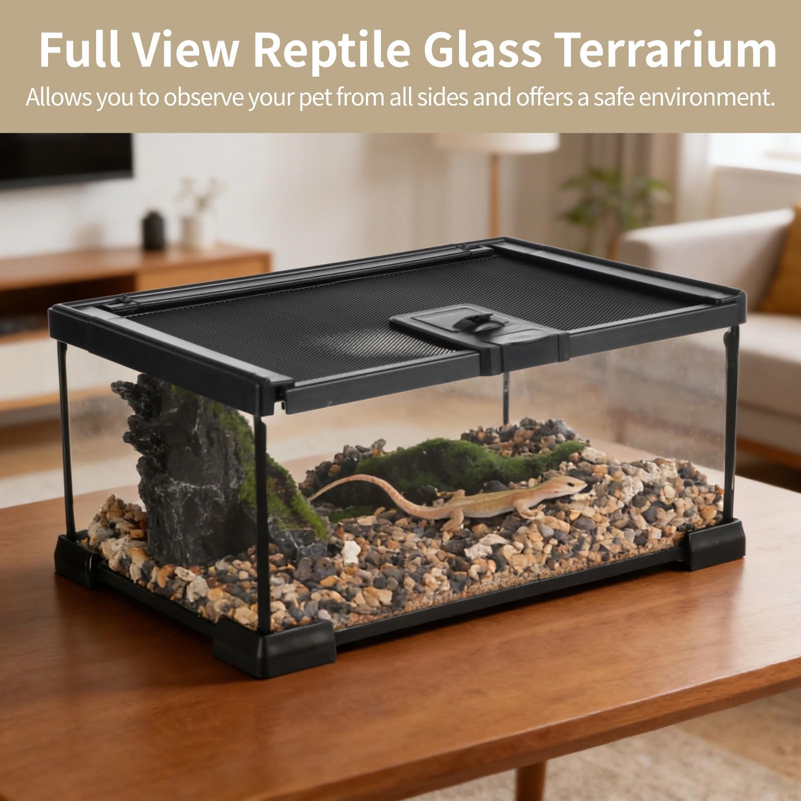 Mini-Reptilien-Glas-Terrarium, 30,5 x 20,3 x 15,2 cm, Vollsicht-Regenwald-Vivarium, stapelbarer Amphibiengehege, Käfig für Schildkröten, Geckos, Frösche, Einsiedlerkrebse, keine Installation