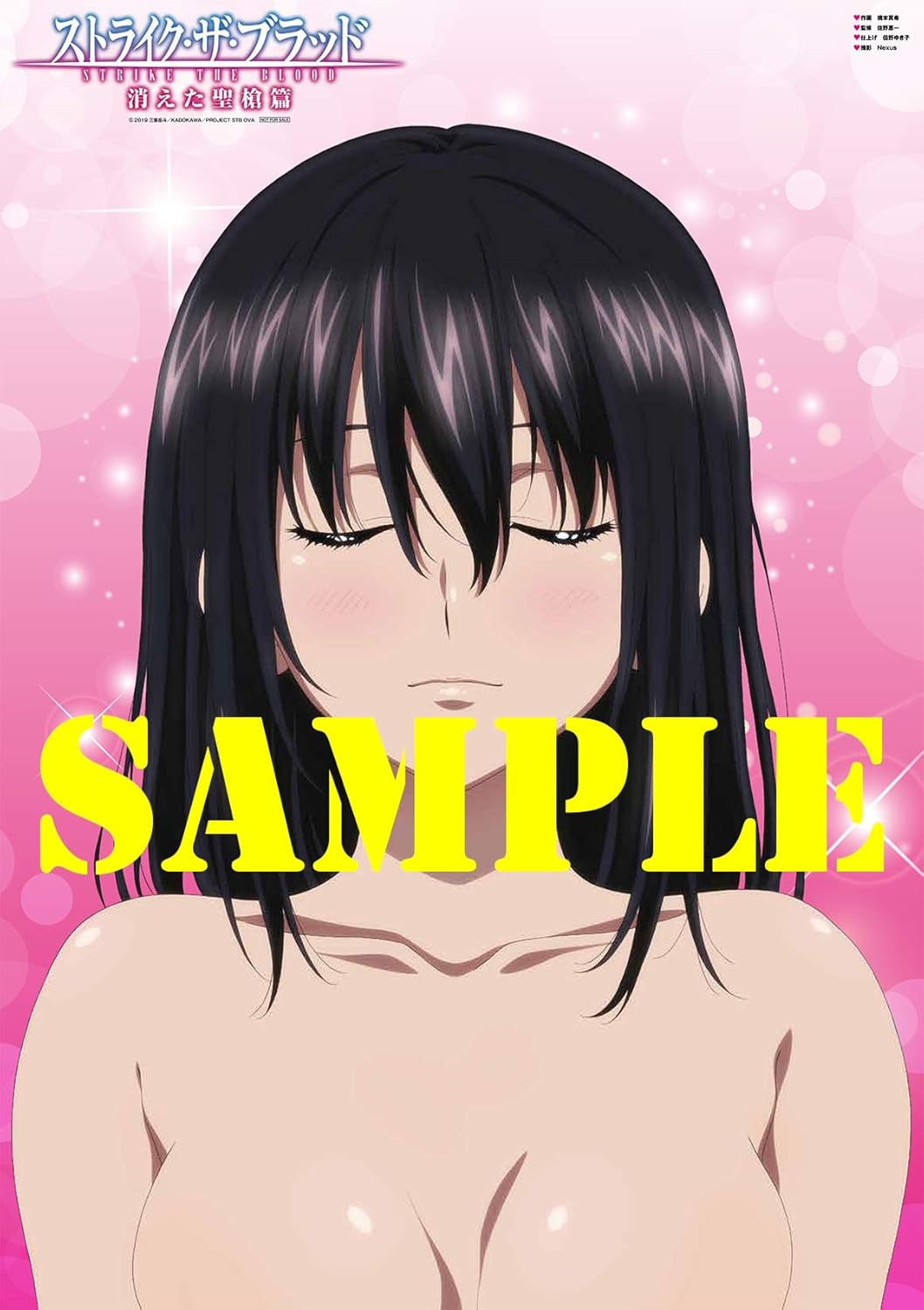 Amazon Co Jp限定 早期特典あり ストライク ザ ブラッド スペシャルova 消えた聖槍篇 初回仕様版 2枚組 早期特典アニメイラスト描き下ろし 雪菜の キス待ち A3クリアポスター付 全巻購入特典 アニメイラスト描き下ろし全巻 Amazon