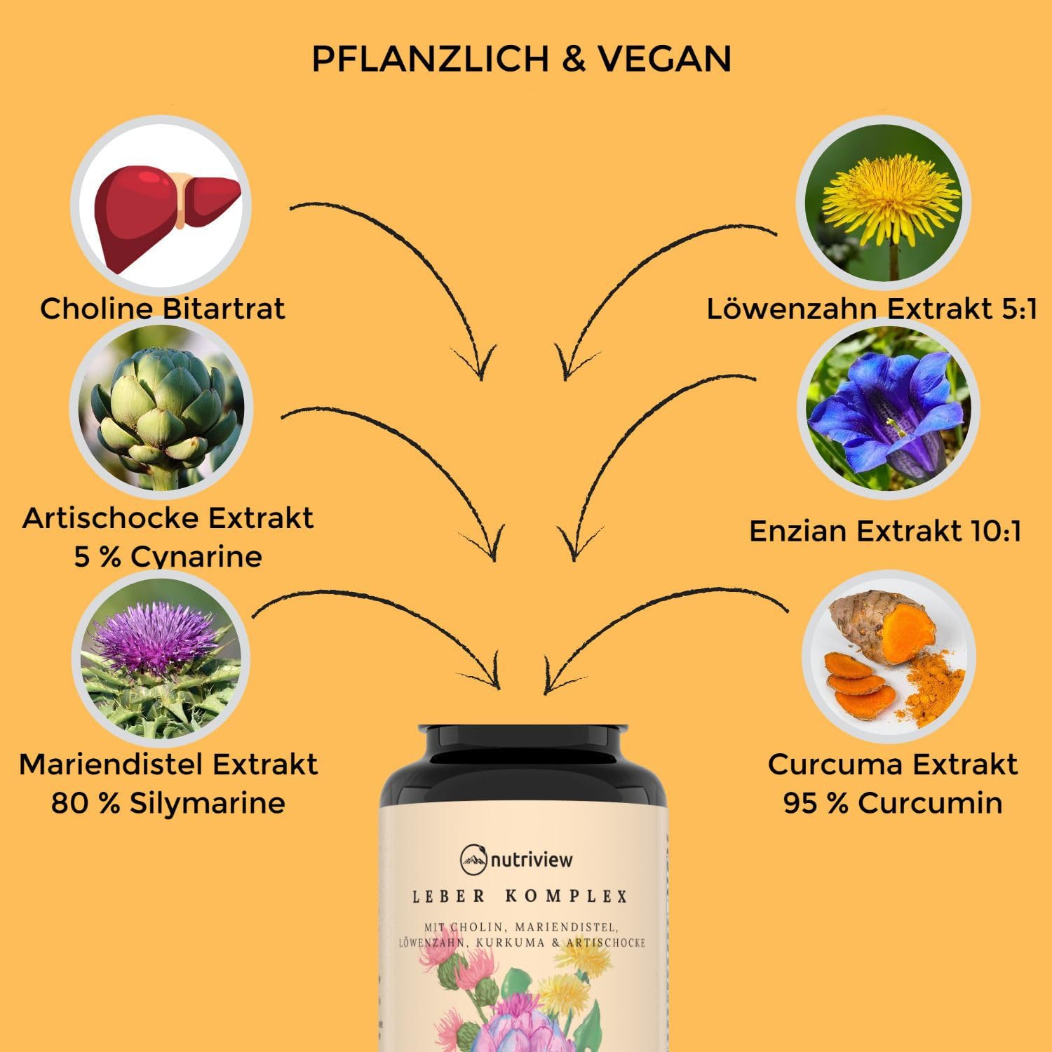 Mariendistel Artischocke Löwenzahn Leber Komplex mit Kurkuma, Enzian & Cholin - 120 Kapseln - Hochdosiert mit 80% Silymarin & 5% Cynarin - Ohne Zusätze - Vegan - Bitterstoffe