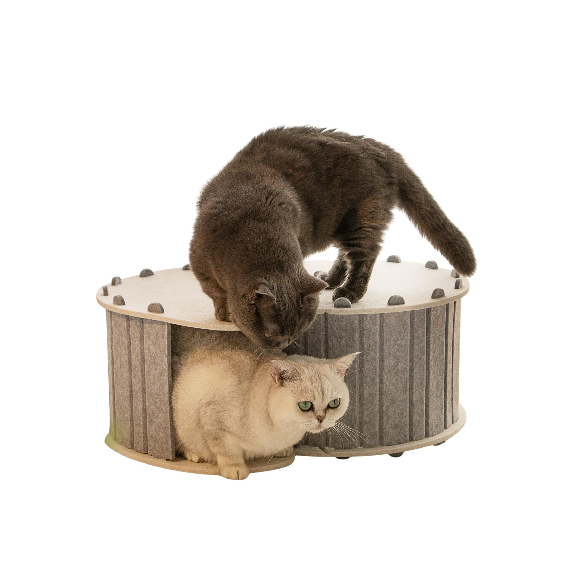 Amazon.co.jp: MSBC 猫爪とぎ フェルトハウス爪とぎ 猫犬用ハウス