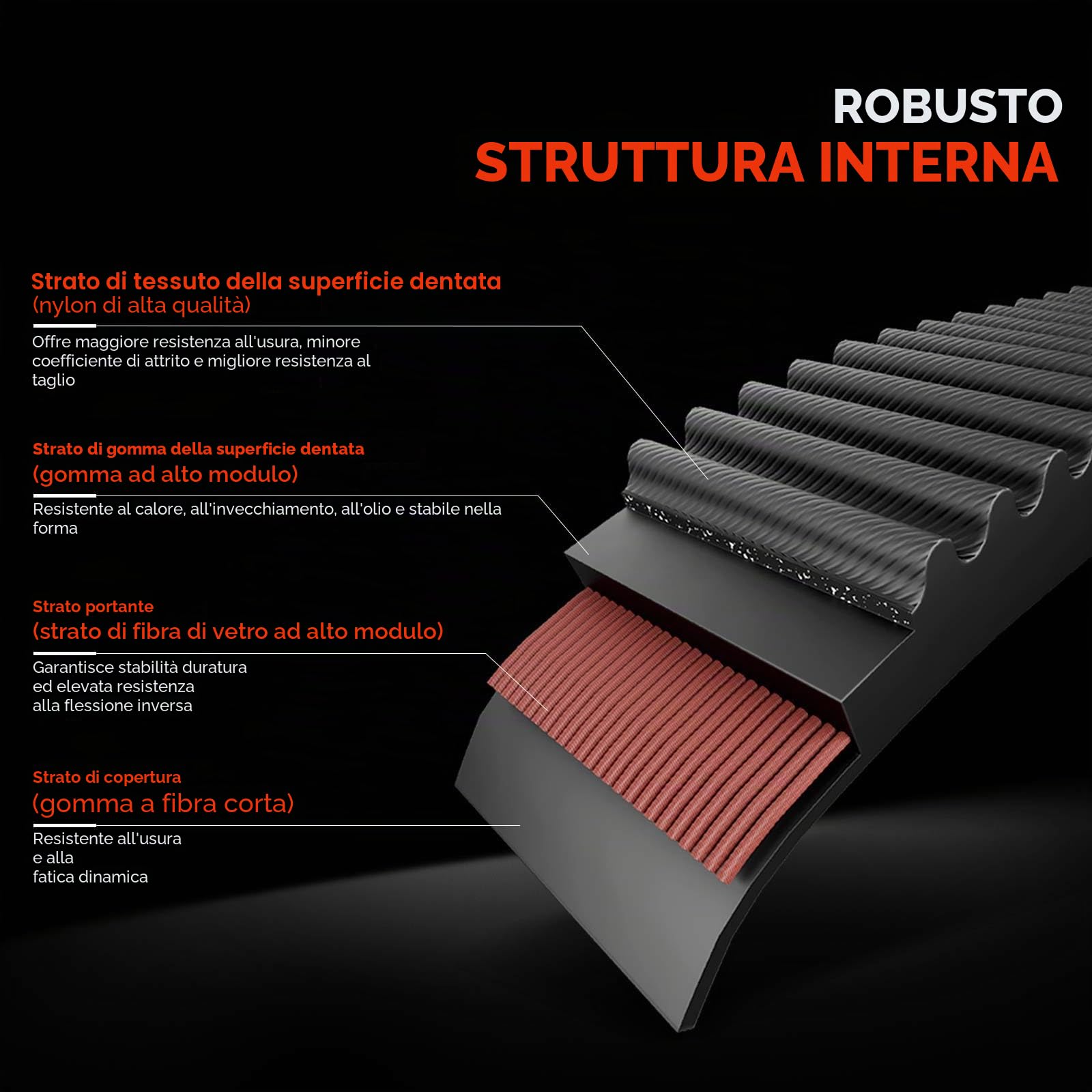 Frankberg Kit cinghia di distribuzione set cinghia di distribuzione | Compatibile con: Proace Verso Bus MPY, C-Max II Van, Grandland X A18 P1UO, Fiesta VII Van, 308 II L3 LB LH LP LW