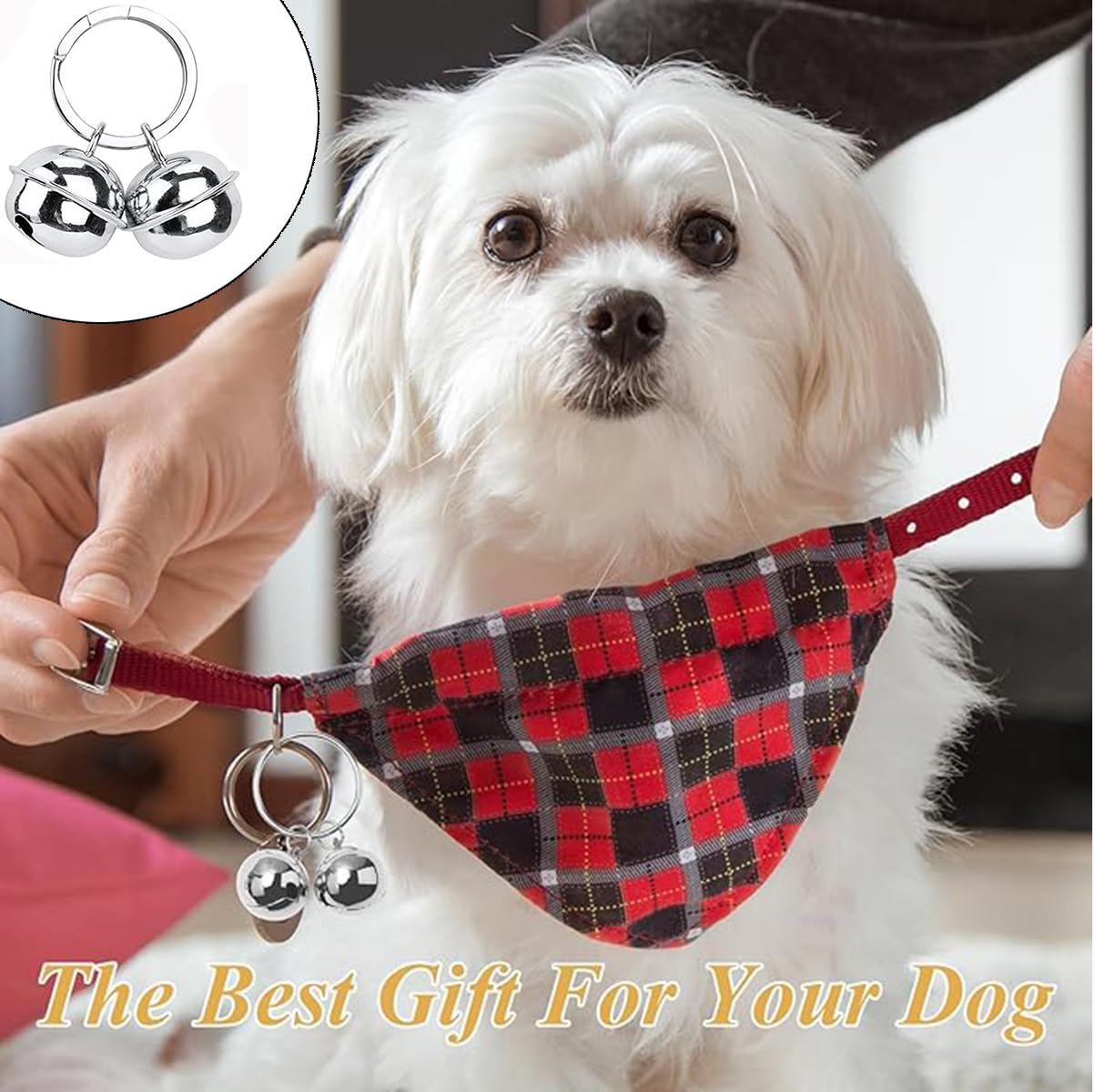 Campanelli per Collari per Cani e Gatti, 4 Set Campanelli Extra Rumorosi per Collari, Collare Papillon per Cani con Campanello che Suona, Silvery