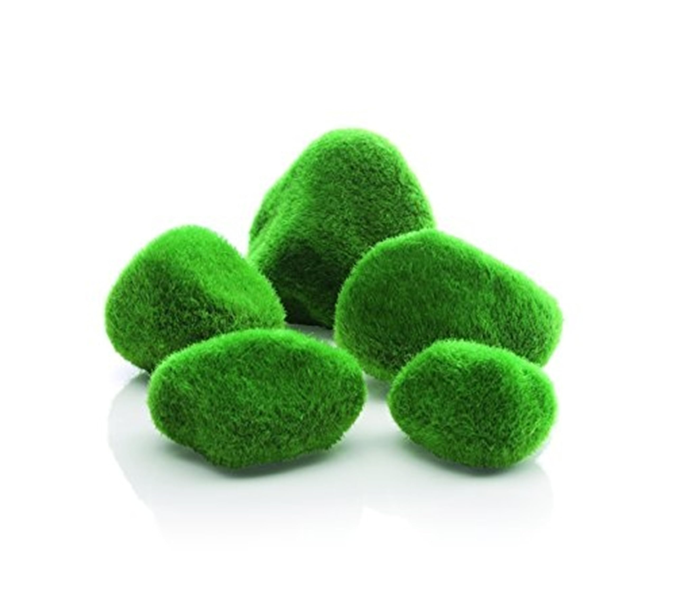 biOrb Fish Tank Decorations, Moss-Covered Pebble Set Aquarium Ornament (Green, 5 Stones Per Set), Beautiful Fish Tank Accessories To Add Colour, Natural-Looking Aquarium Decor For Scenic Background