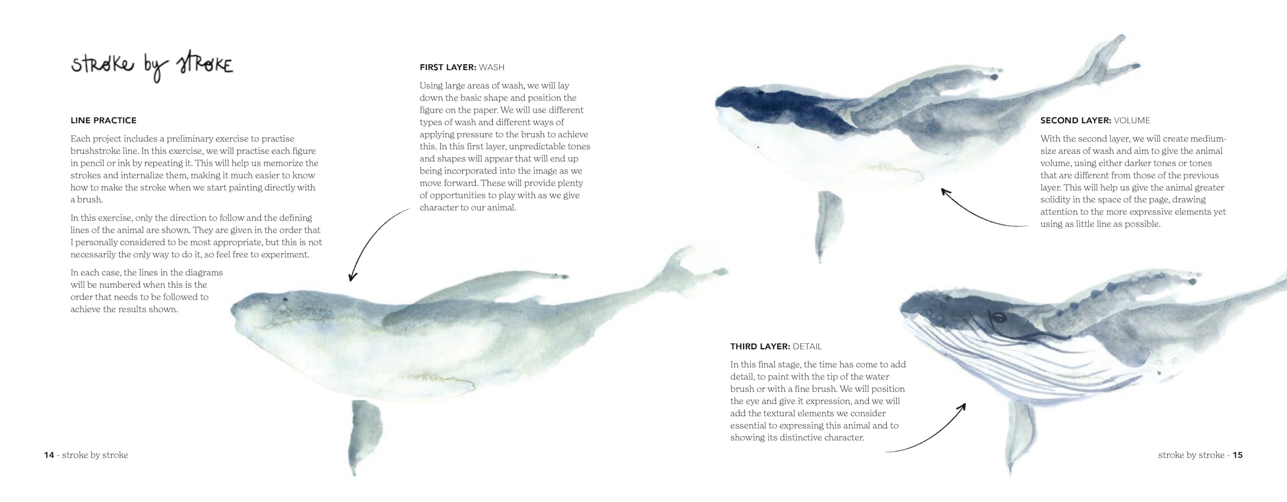 Animal Watercolour in 10 Minutes: An easy, new stroke-by-stroke technique