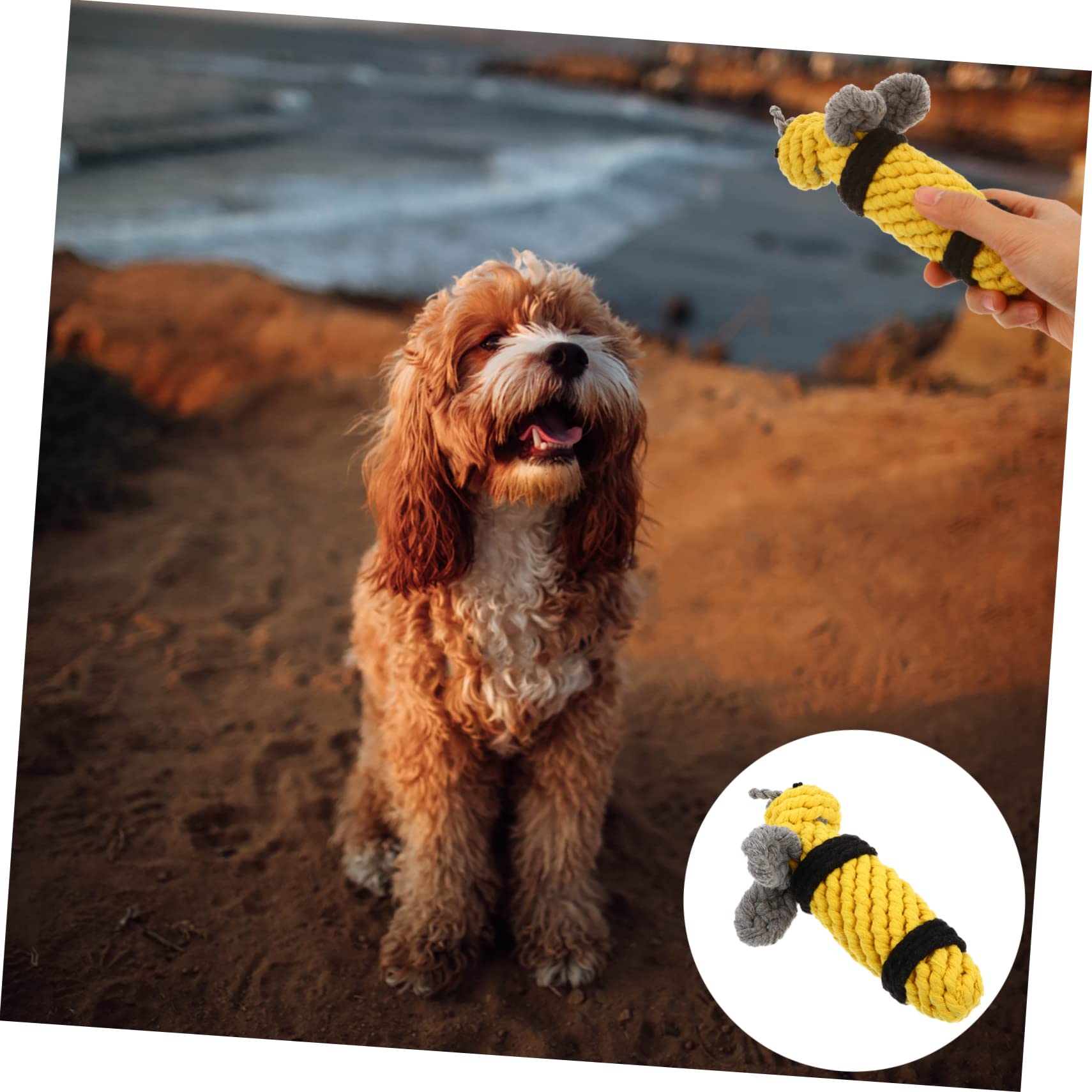 Toyvian Dog Toy Bee Cotton Rope Toy Durable Rope for Interactive Play Pet Supplies