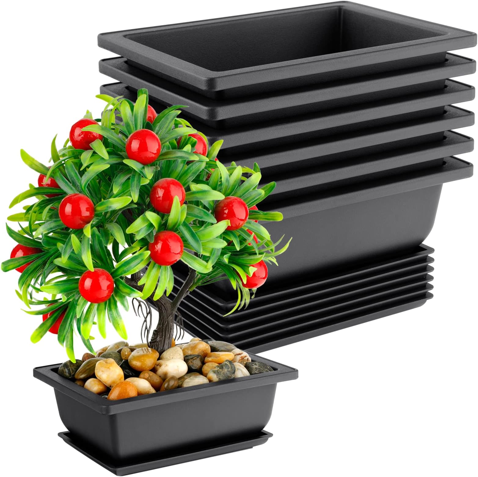 jasmine bonsai tree 10 Inch Mini Jasmine Bonsai Tree – Bonsai Gifts Nursery main image 0