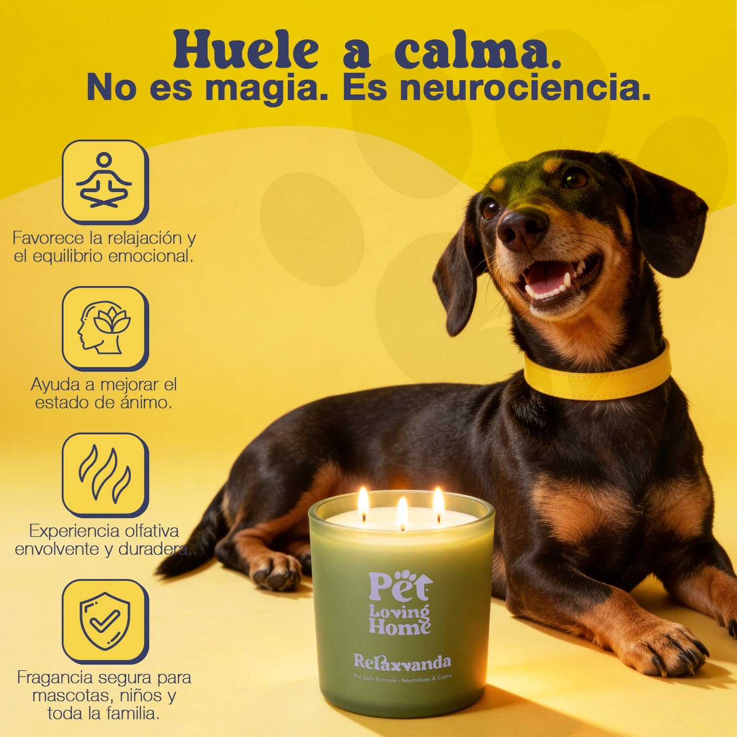 Pack Vela Aromática 350g + Ambientador Spray 200ml - Set Regalo Aroma Lavanda - Neutralizador de Olores de Mascotas - Pet Friendly Perro y Gato - Vela de Soja Decorativa