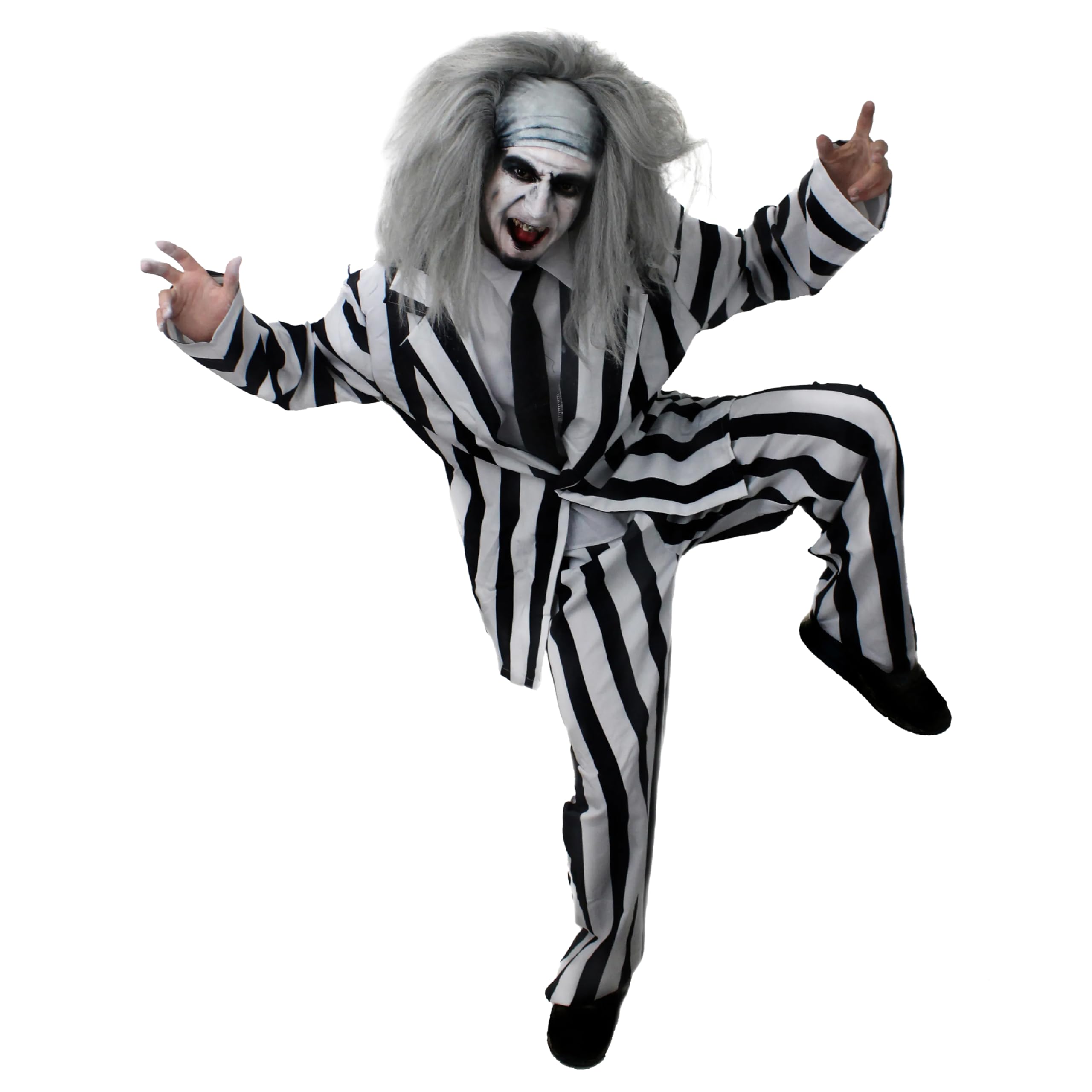 Adults Crazy Ghost Halloween Costume - Small - Black & White Striped Suit, Black Tie, Grey Wig, Facepaint - Mens 80s TV Film Halloween Fancy Dress Costume