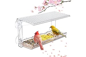 Clear Window Bird Feeder for Outdoors