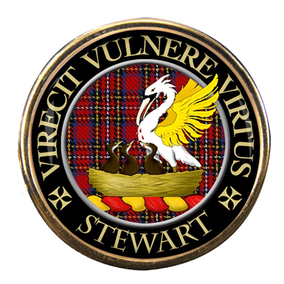 Family-Crests.com Men's Gold Stewart Scottish Clan Pin Badge