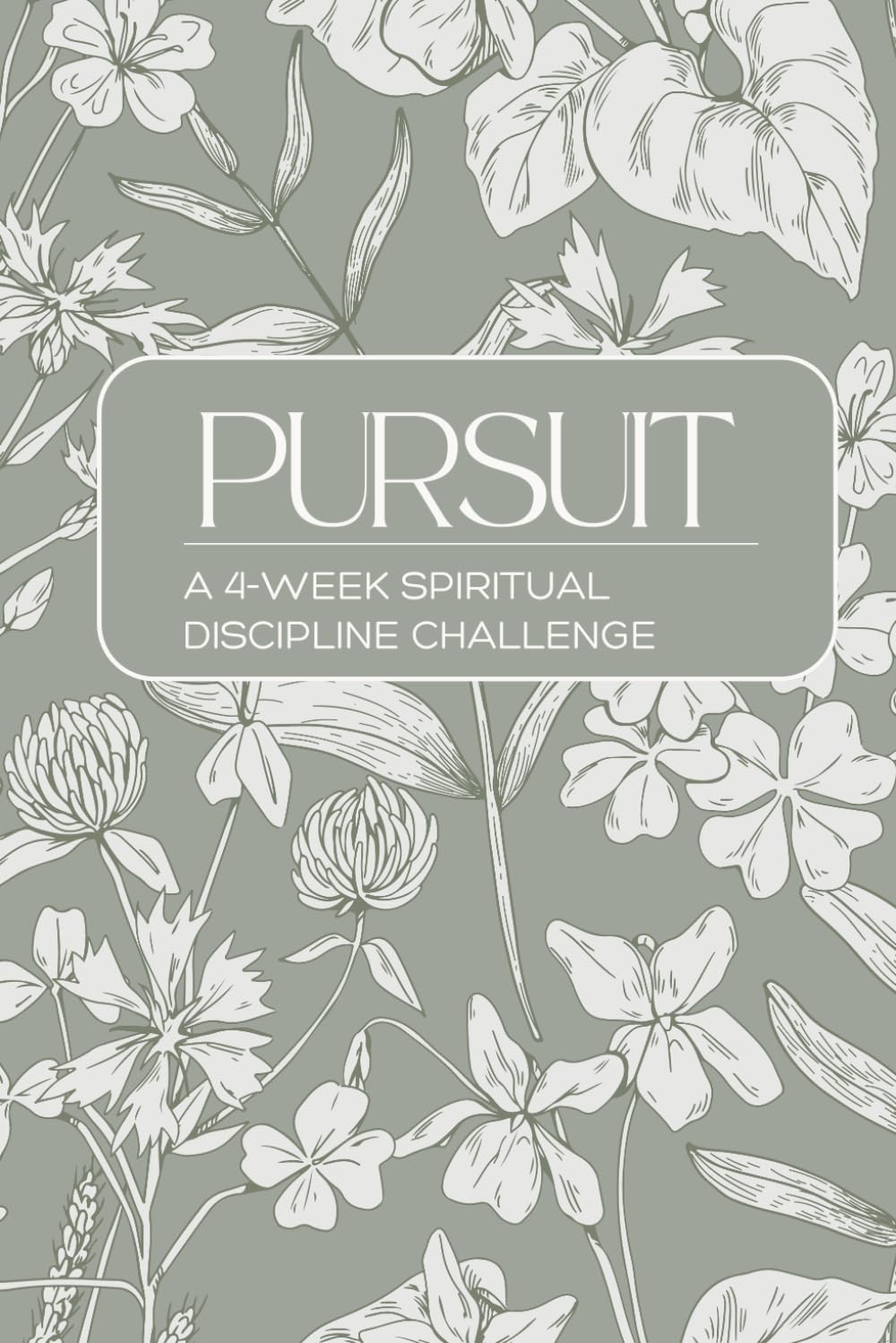 Pursuit: A 4-Week Christian Devotional to Build Daily Spiritual Disciplines