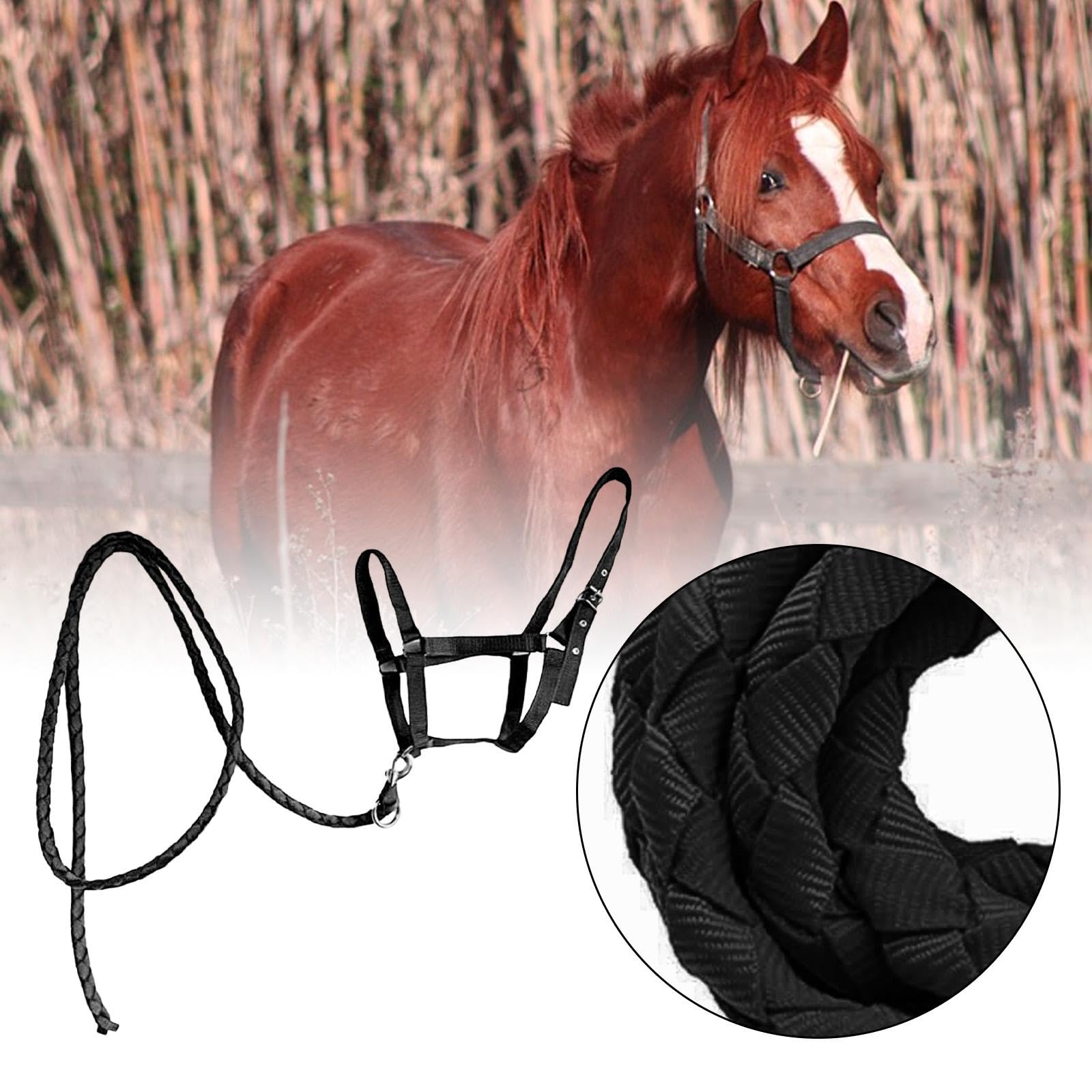 LOVIVER Cavezza per Cavallo con Redine Imbracatura Regolabile in Nylon Durevole Attrezzatura per Equitazione con Comfort Superiore Adatta a Raduni E