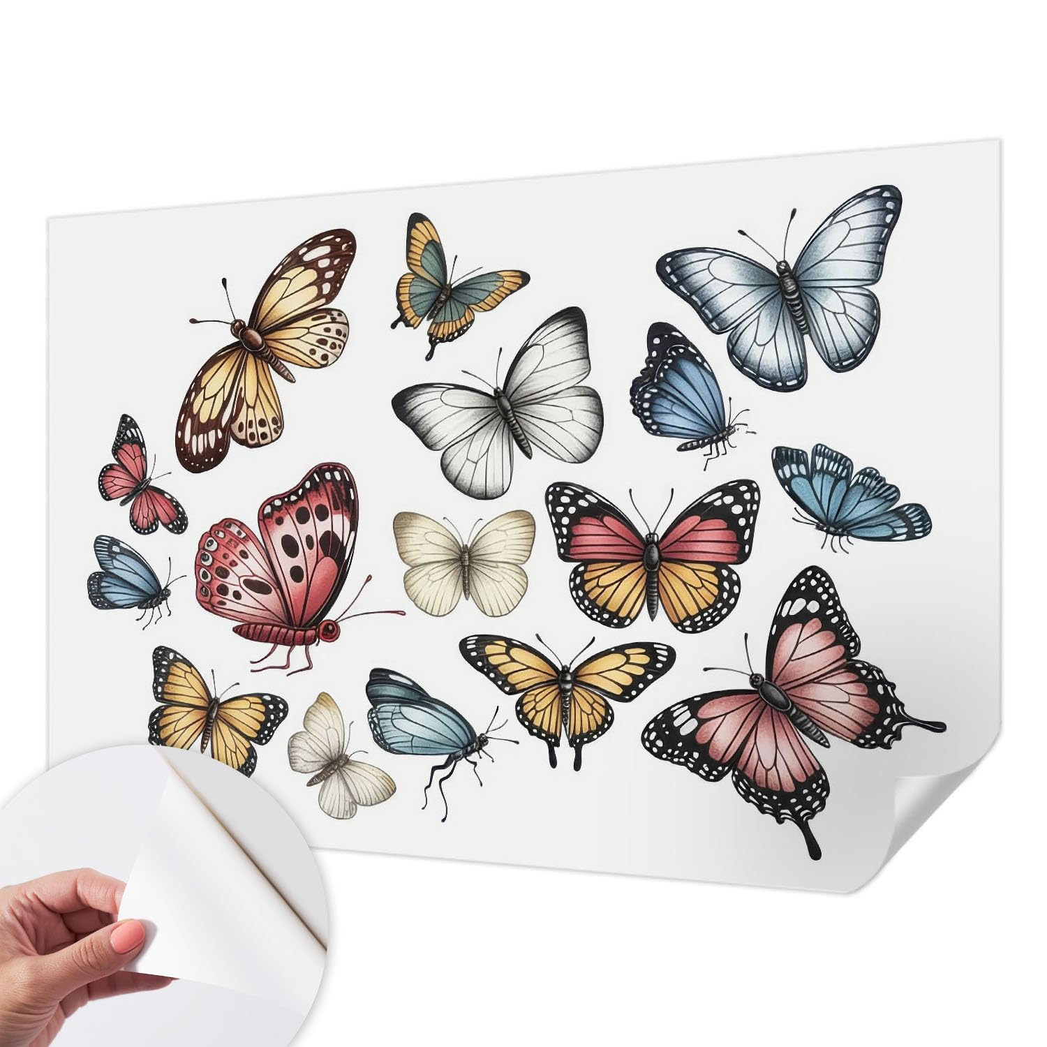 Murales de mariposas del paraíso en papel autoadhesivo para decorar las paredes de tu dormitorio