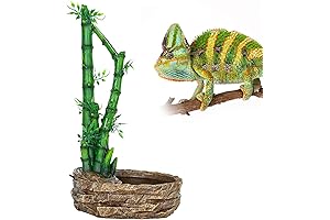 Reptizoo Reptile Water Fountain Waterfall