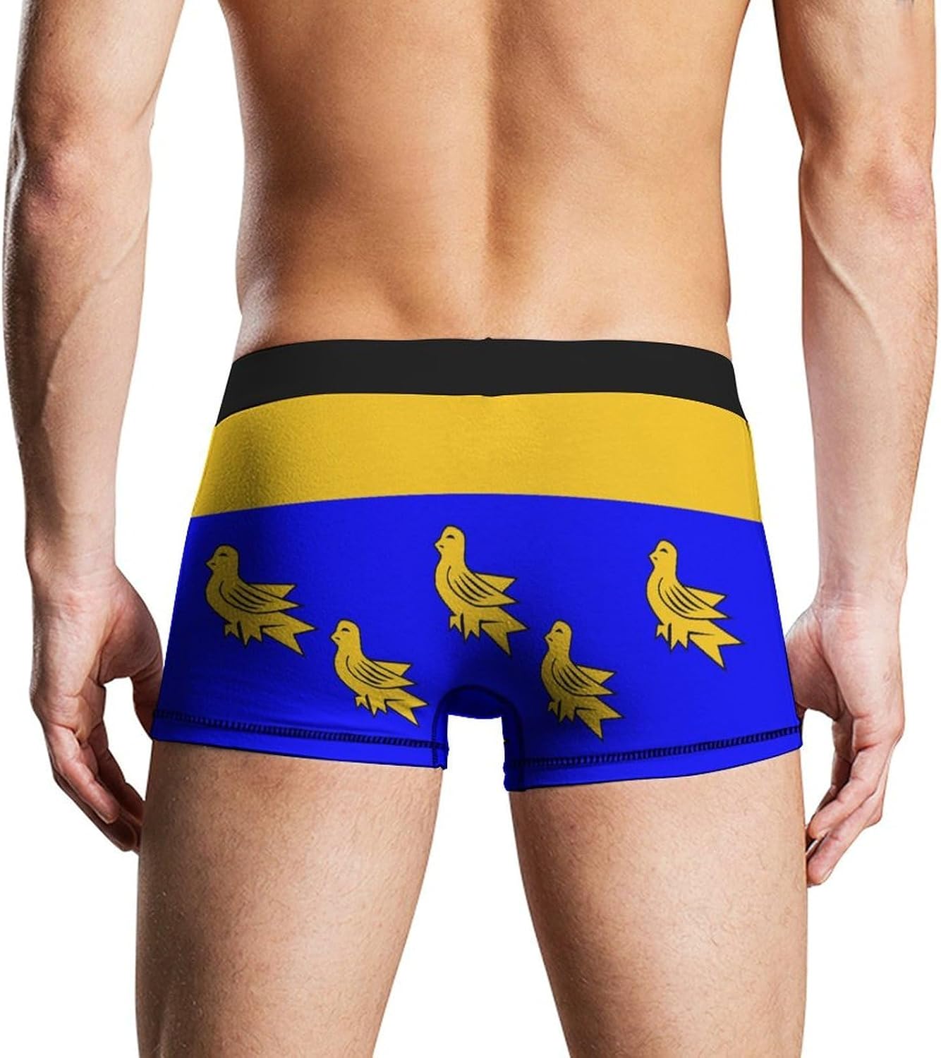 West Sussex County Flag Men's Underwear Soft Novelty Boxer Briefs Underpants Shorts Trunks
