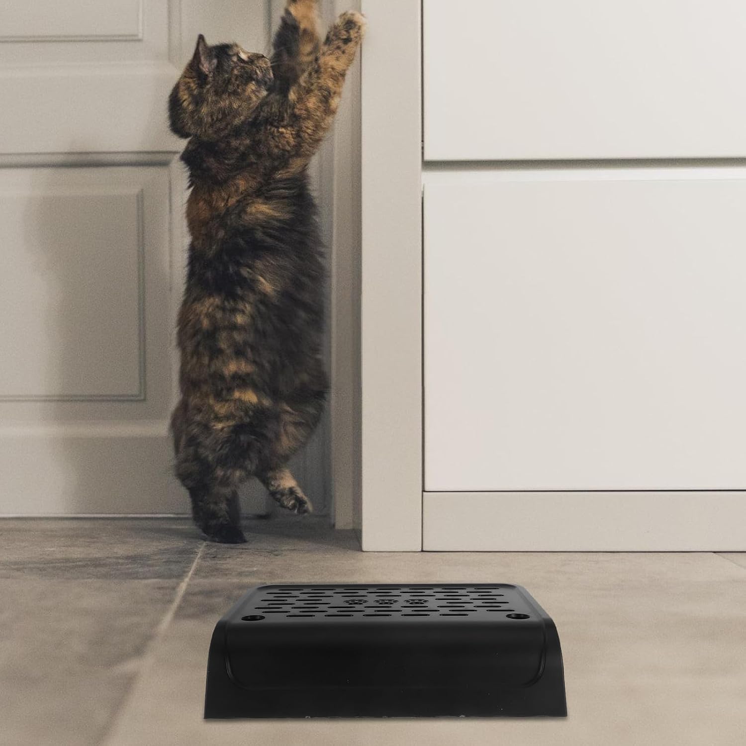 GLEAVI Portable Elevated Cat Litter Steps for Small and Elderly Cats, Abs Material Litter Box Pedal Minimizing Mess, for Travel and Moving the House, Easy to Clean and Sturdy Ramp