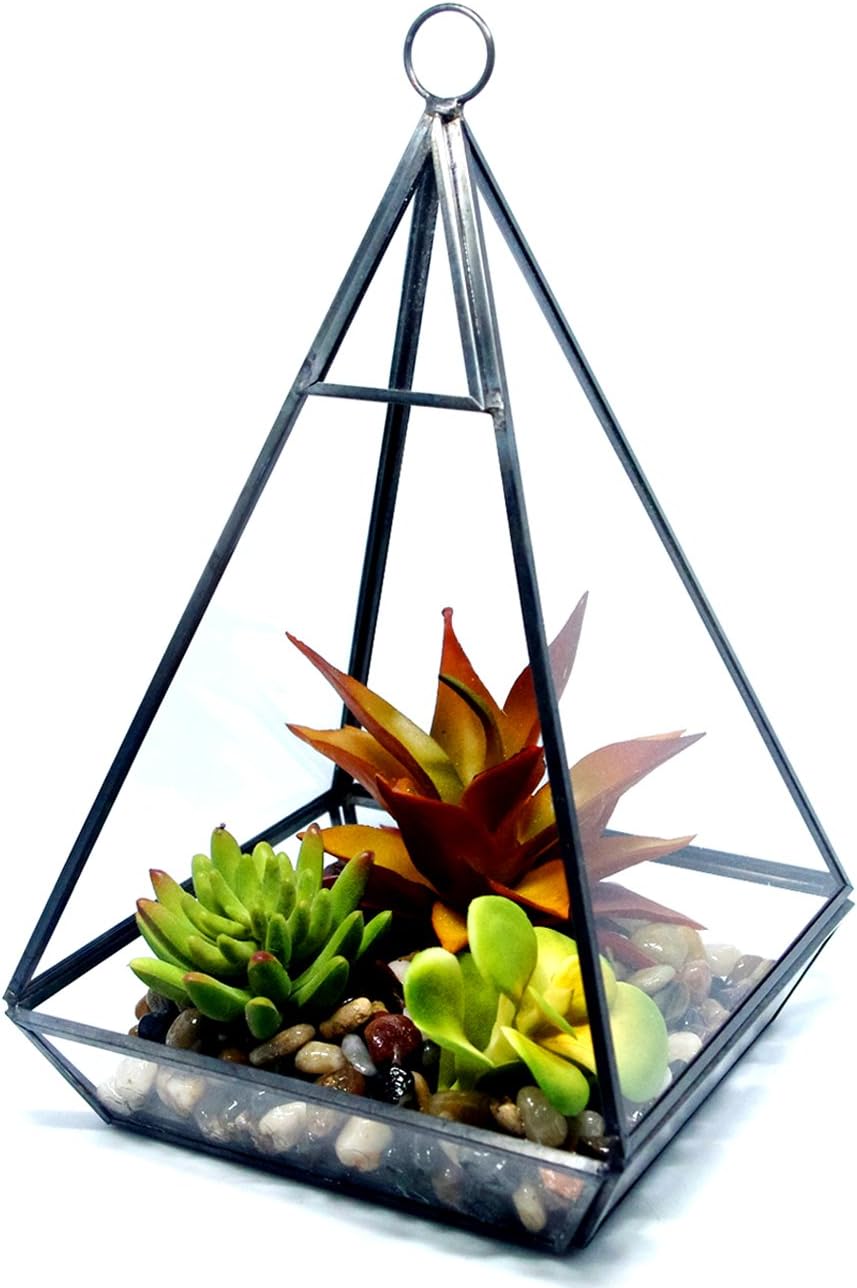 Clear Glass Terrariums,Geometric Terrariums,Geometric Air plants terrarium,Succulent planters,Artficial Plants Air Plant Geometric Terrariums Holder for Tabletop Succulent Plants Holder