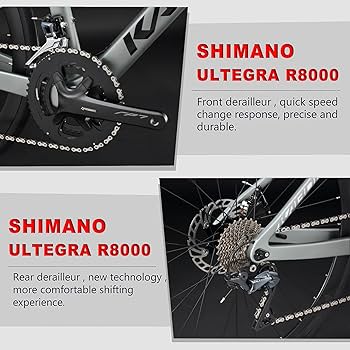 シマノ600アルテグラコンポ　カーボンロードレーサー　ランドギアRG5300 シマノ600アルテグラコンポ カーボンロードレーサー ランドギア