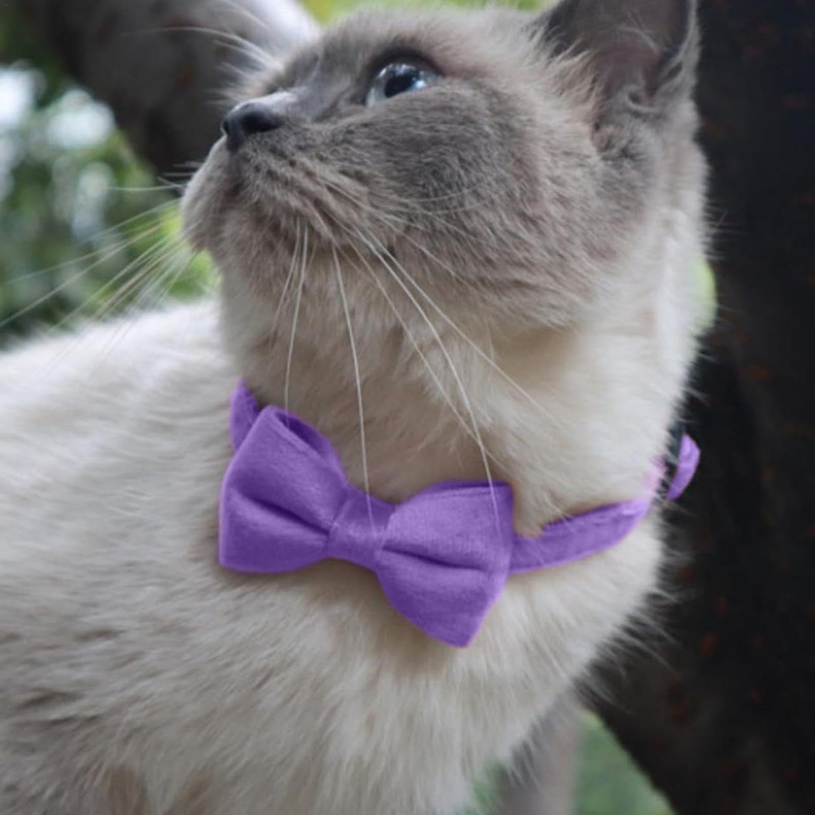 猫の首輪 逃げ エレガントパープル 