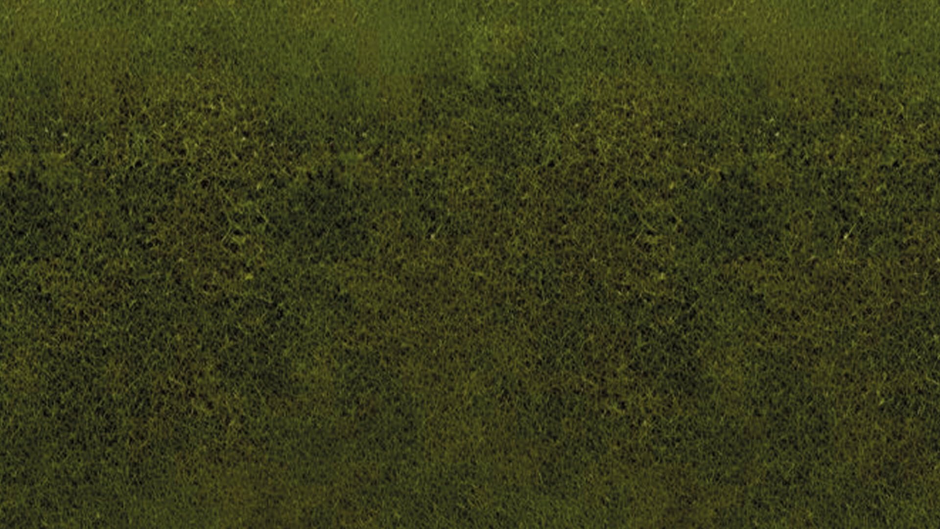 Tappeto erboso 120x60 cm Ho-TT