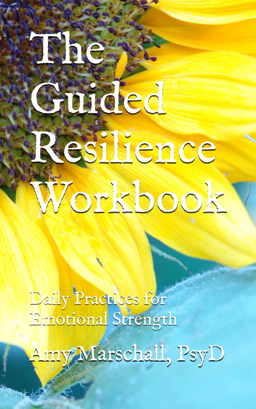 The Guided Resilience Workbook: Daily Practices for Emotional Strength