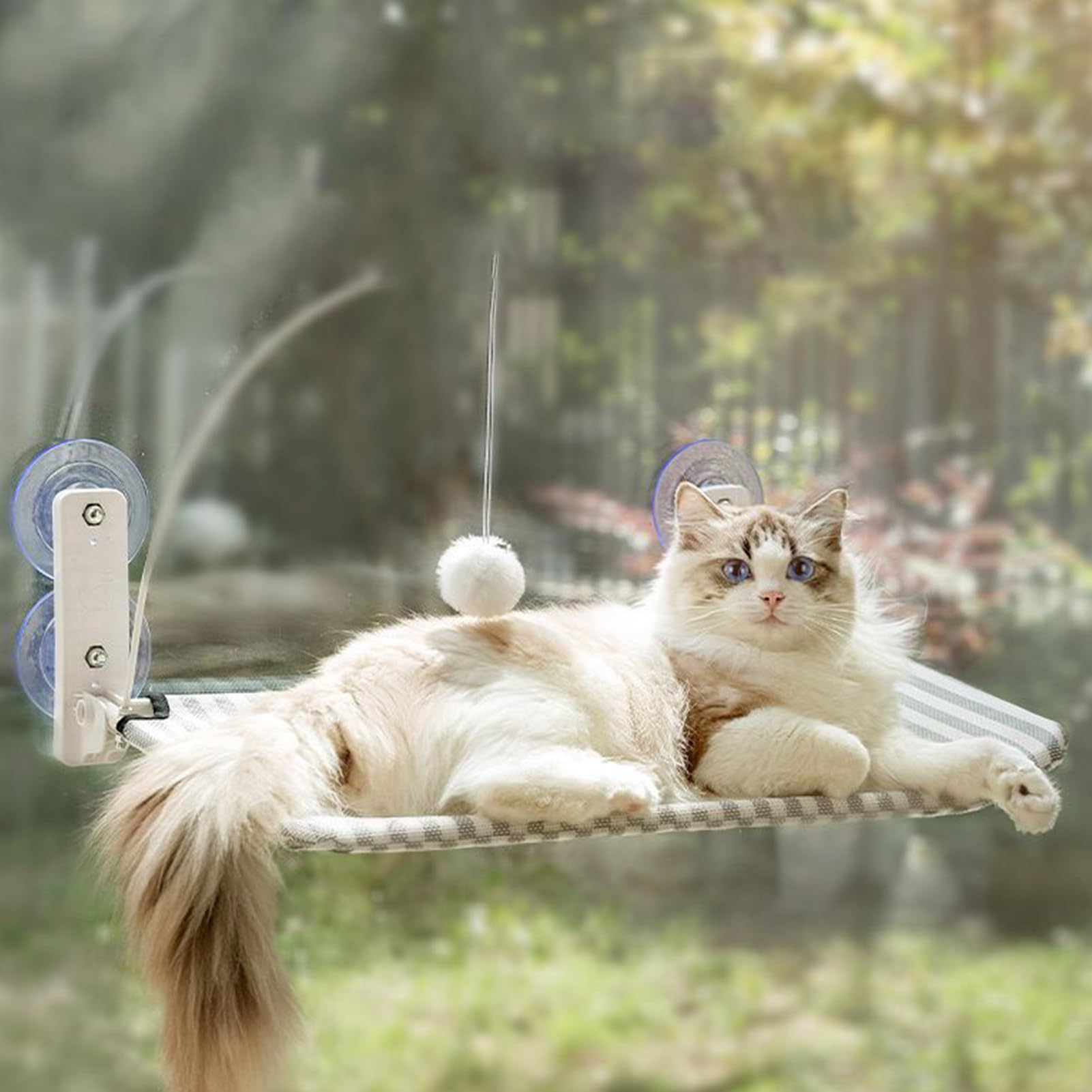 Amaca per Gatti da Finestra Amaca Senza Corda Per Finestra Con Cuscino | Lounge Con Ventose Per Interno Esterno Balcone Patio