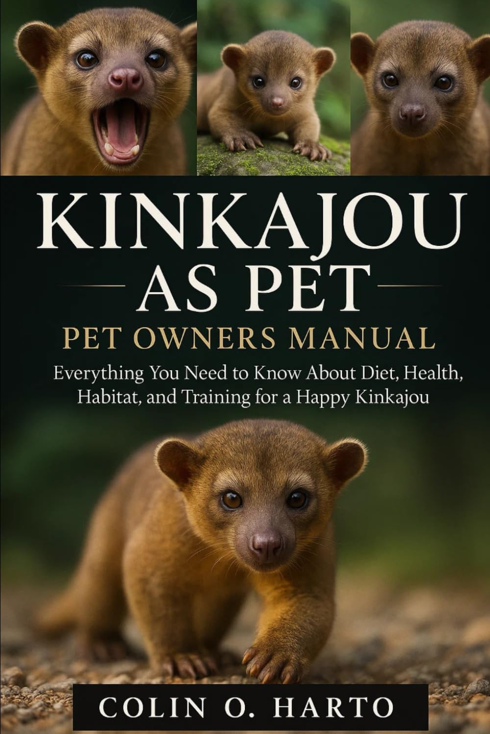 KINKAJOU AS PET: Everything You Need to Know About Diet, Health, Habitat, and Training for a Happy Kinkajou