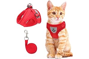 Safe and Comfy: Cat Vest Harness for Walking