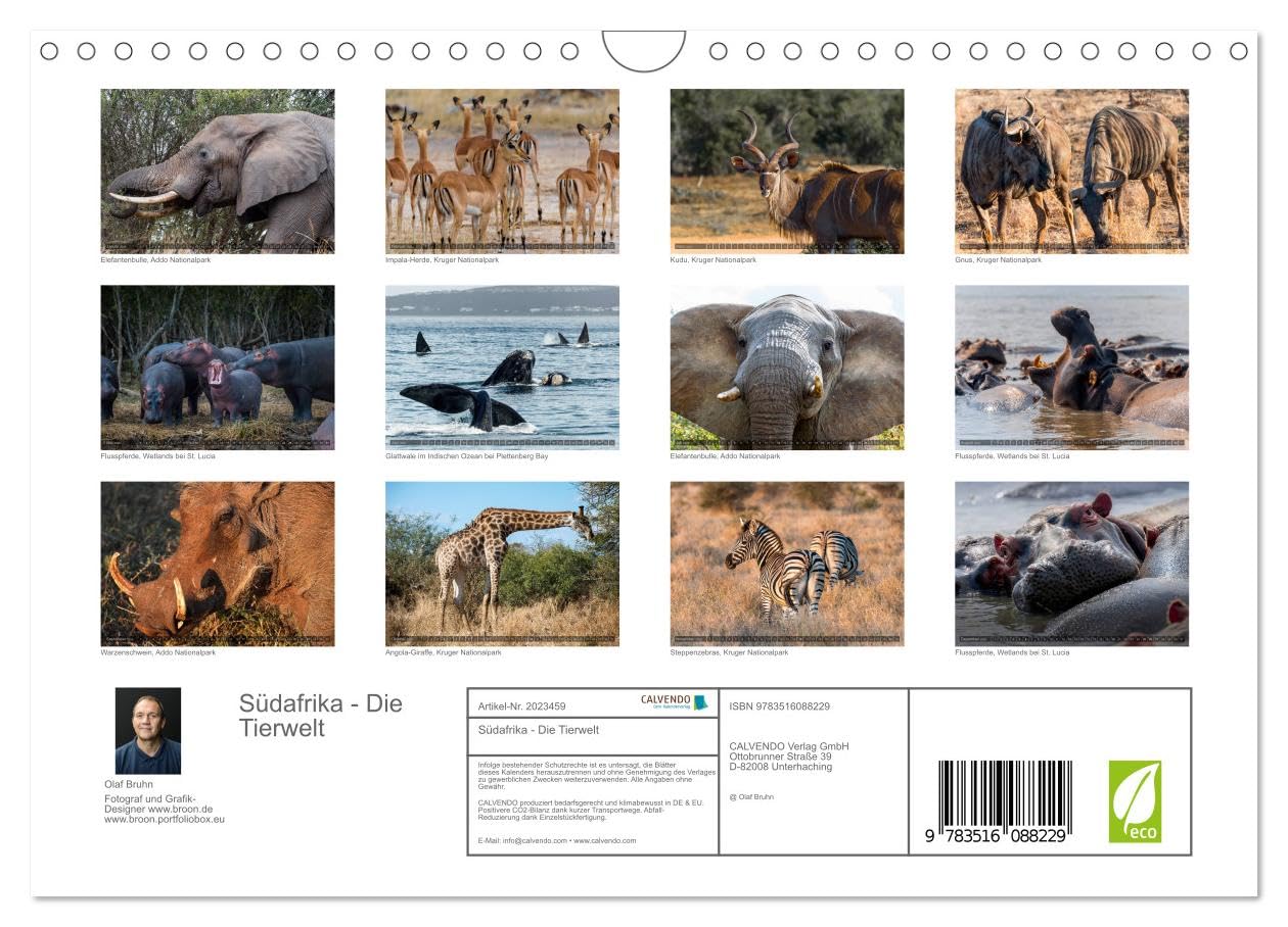 Südafrika - Die Tierwelt (Wandkalender 2026 DIN A4 quer), CALVENDO Monatskalender: 12 wunderschöne Tieraufnahmen aus Südafrika von dem Fotografen und Grafik-Designer Olaf Bruhn (CALVENDO Natur)