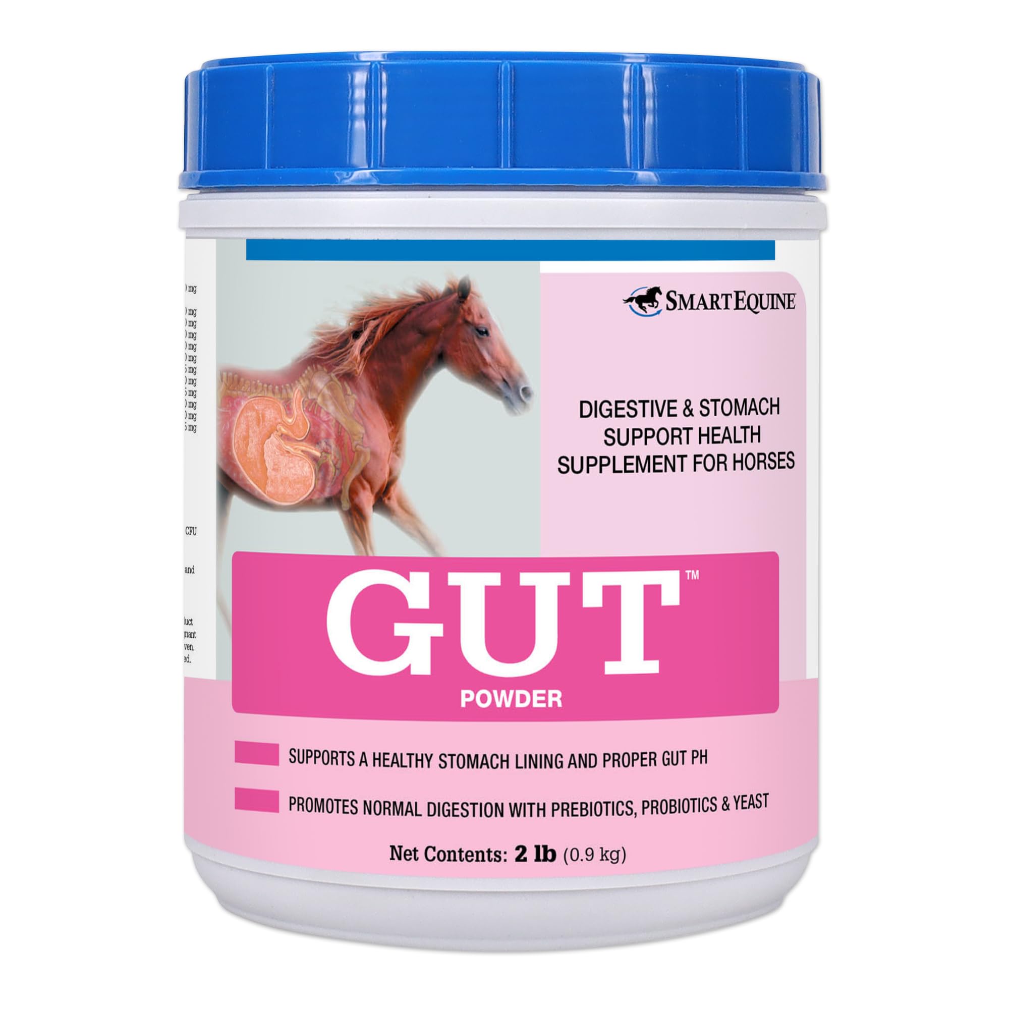 SmartEquine Gut Powder Probiotic for Horses